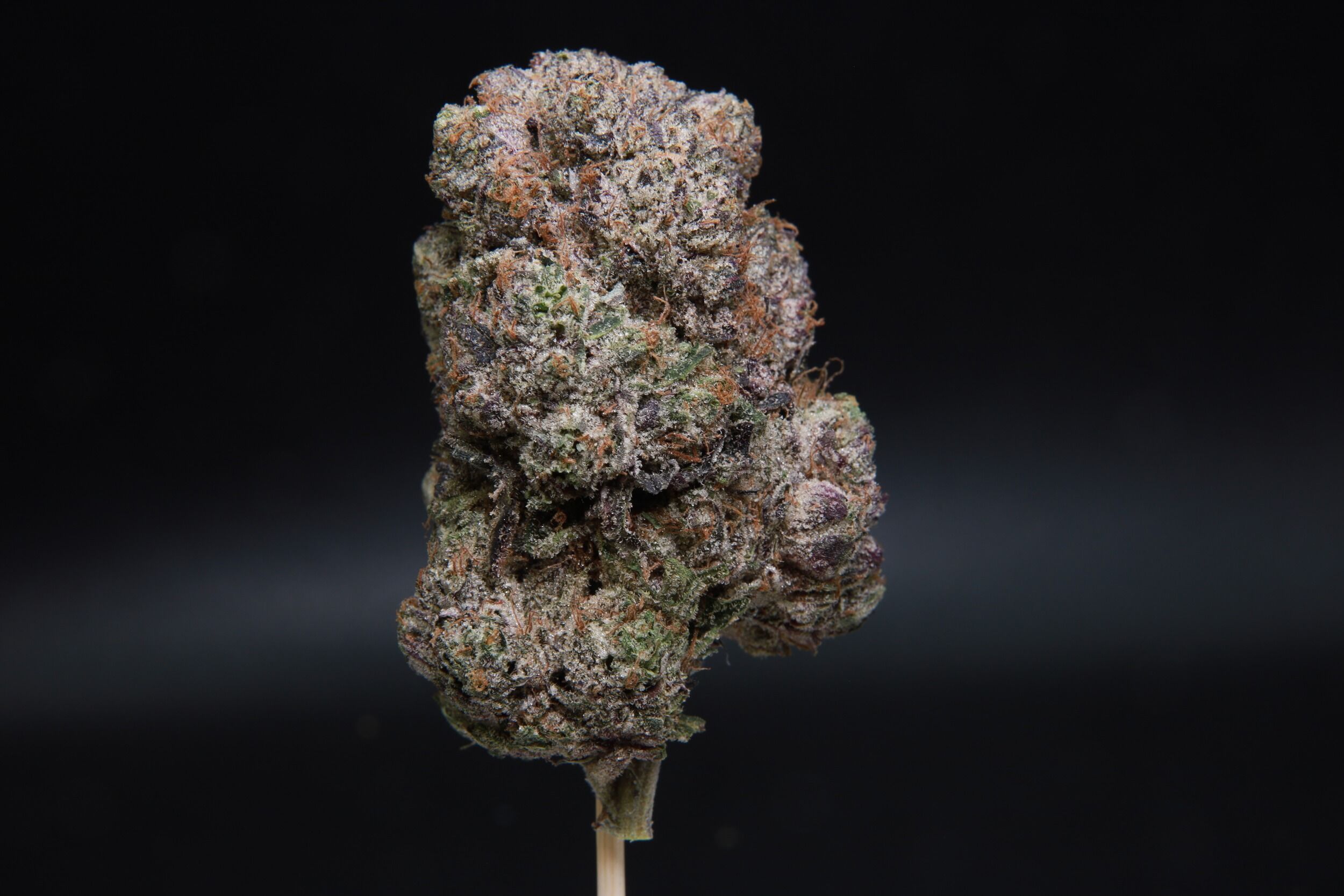 Pink Jet Fuel weed at Elephant Garden