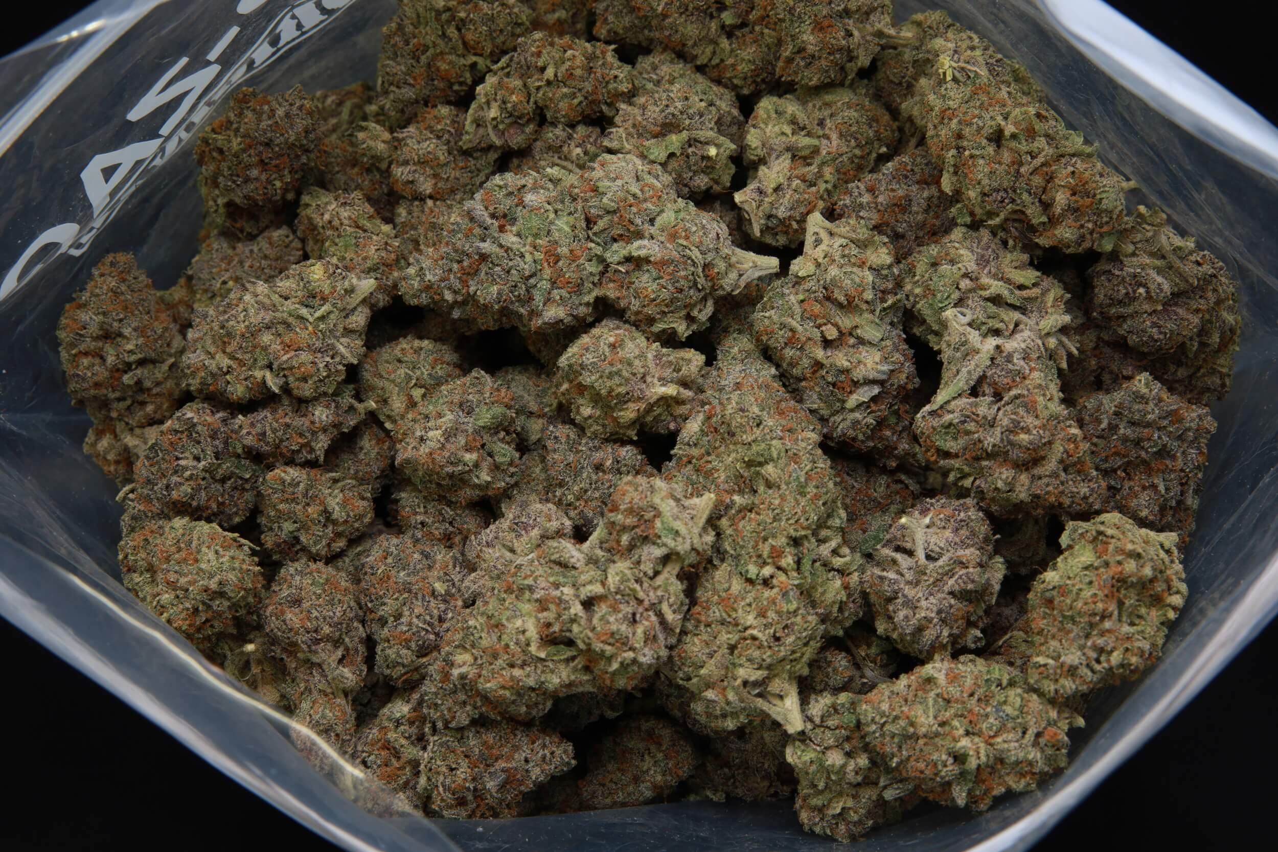 Rainbow Gelato bag at Elephant Garden