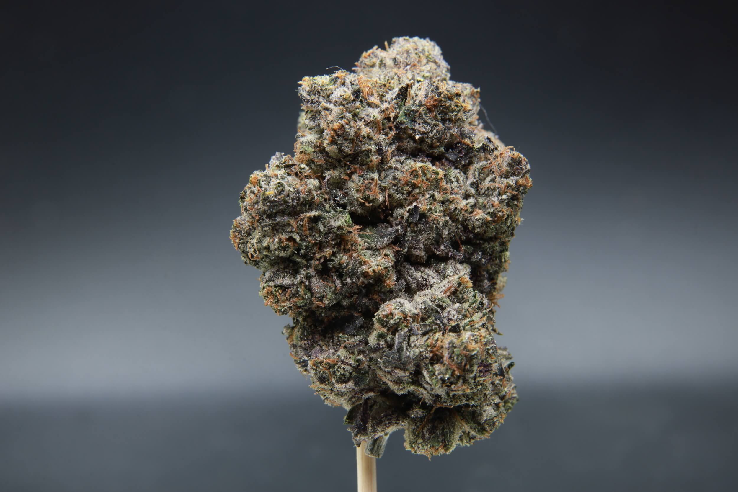 Buy 91 Octane Cannabis bud from Elephant Garden