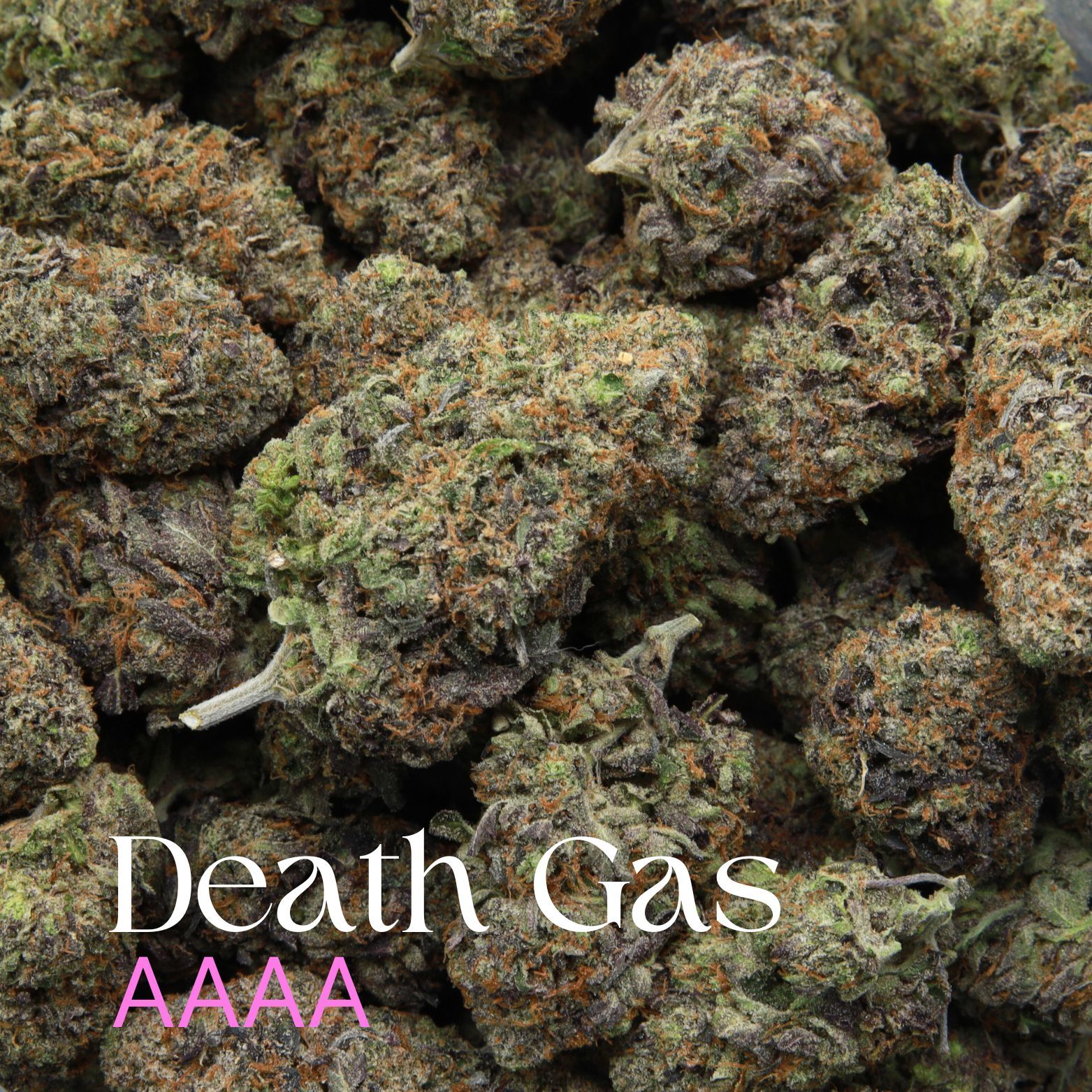 Buy Death Gas weed from Elephant Garden co.