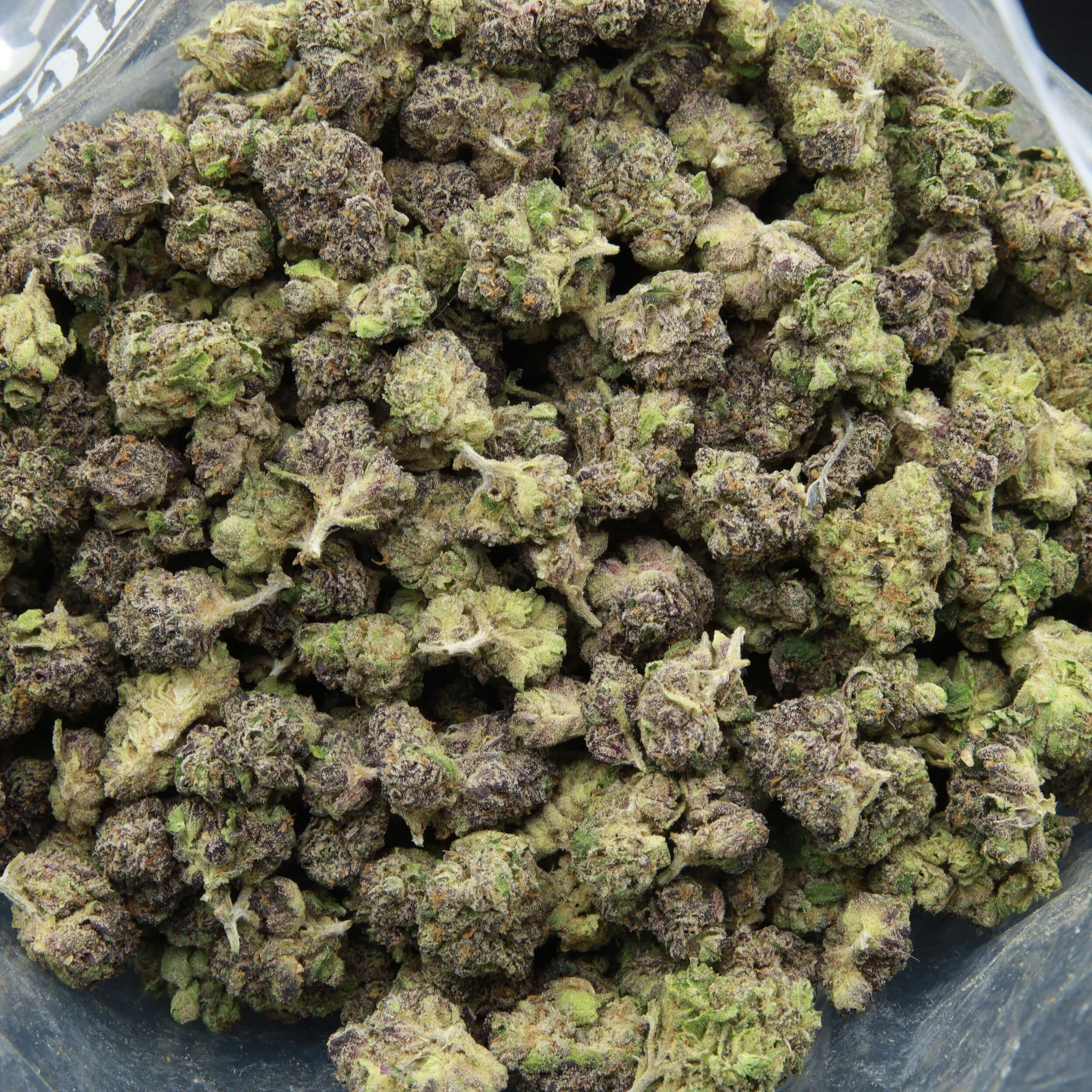 High resolution image of Bavarian Cream (Popcorn) from Elephant Garden.