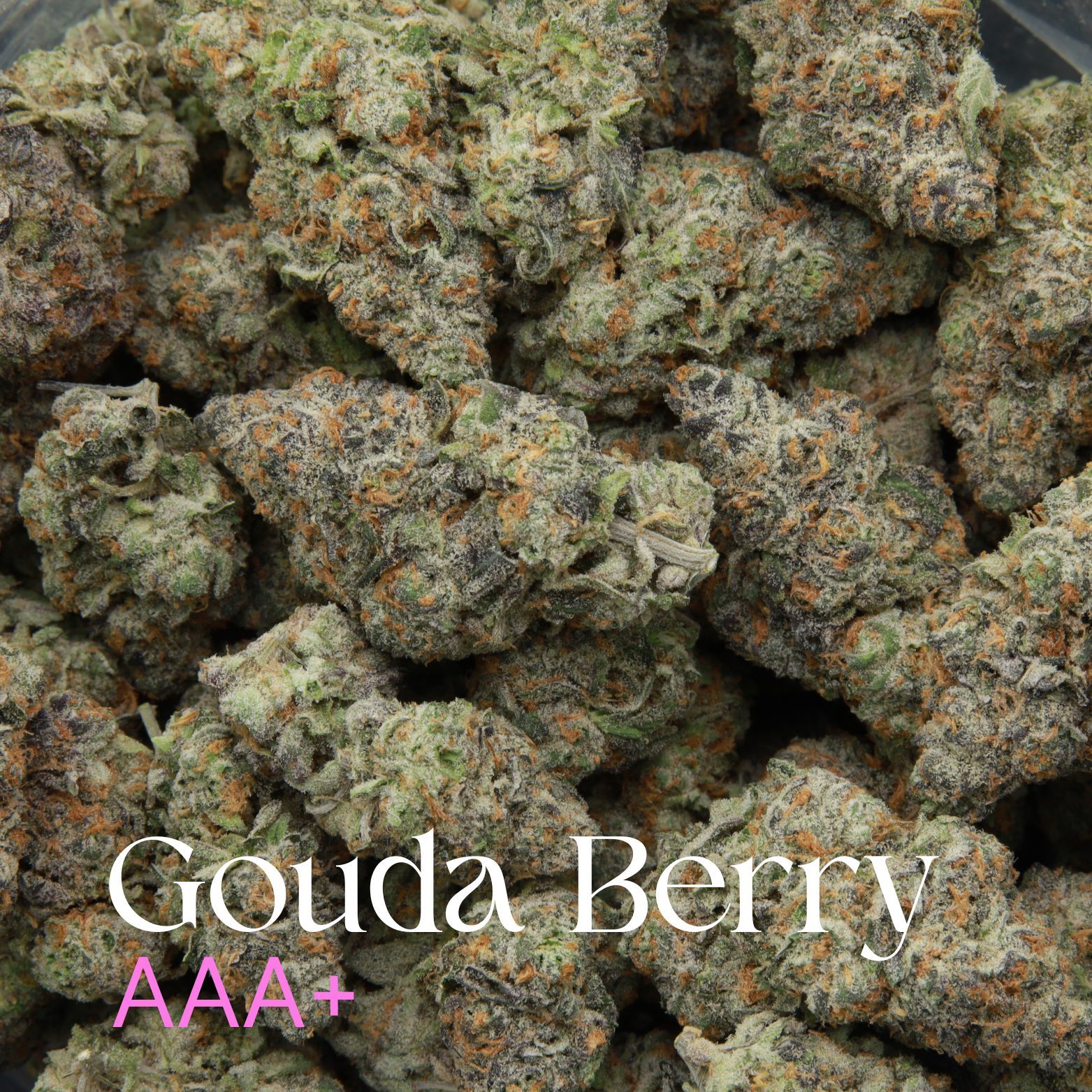 Berry Gouda Elephant Garden Bag. Buy weed online in Canada