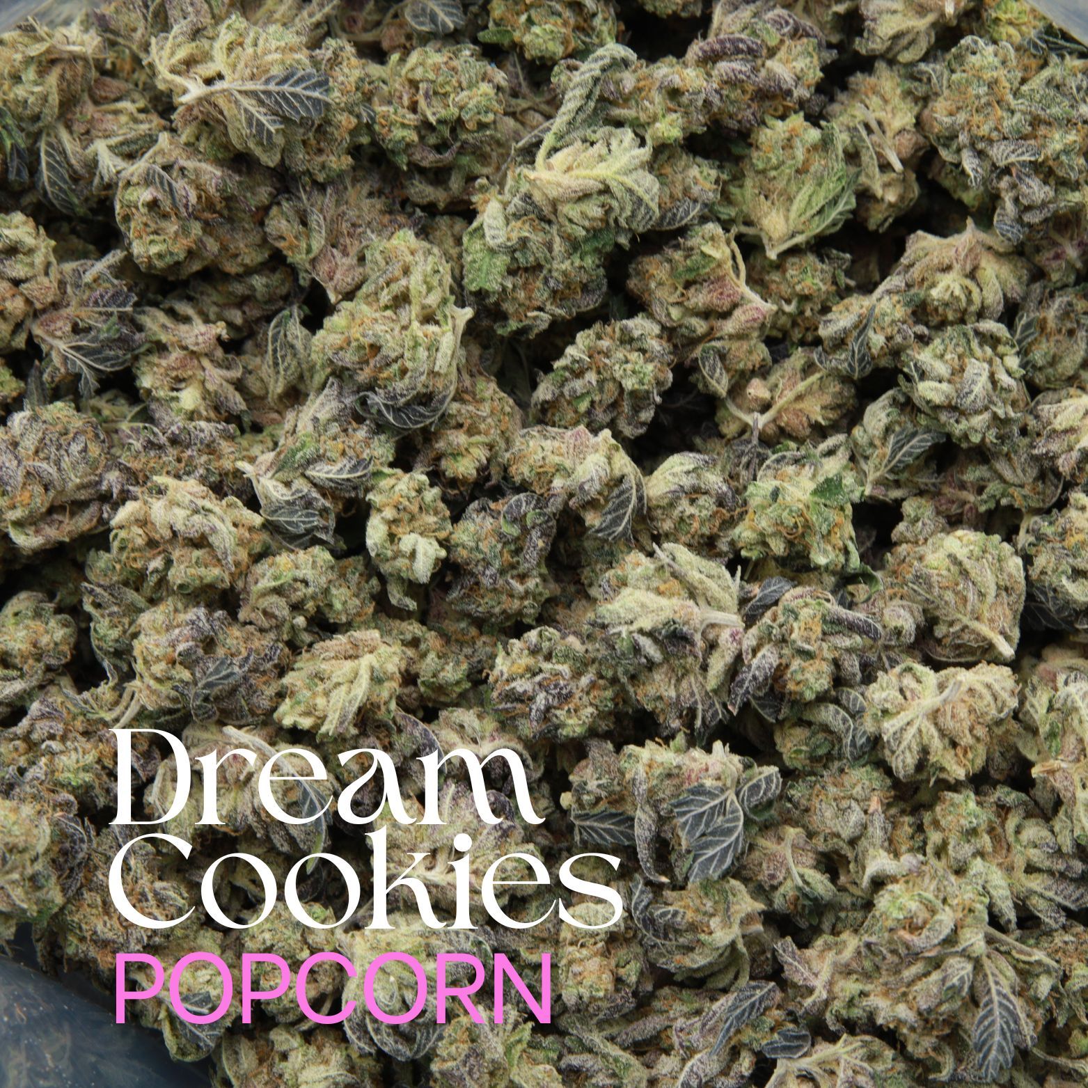 Dream Cookies AAA popcorn hybrid combines Blue Dream x Girl Scout Cookies genetics for euphoric relaxation. Sweet blueberry cookie flavours.