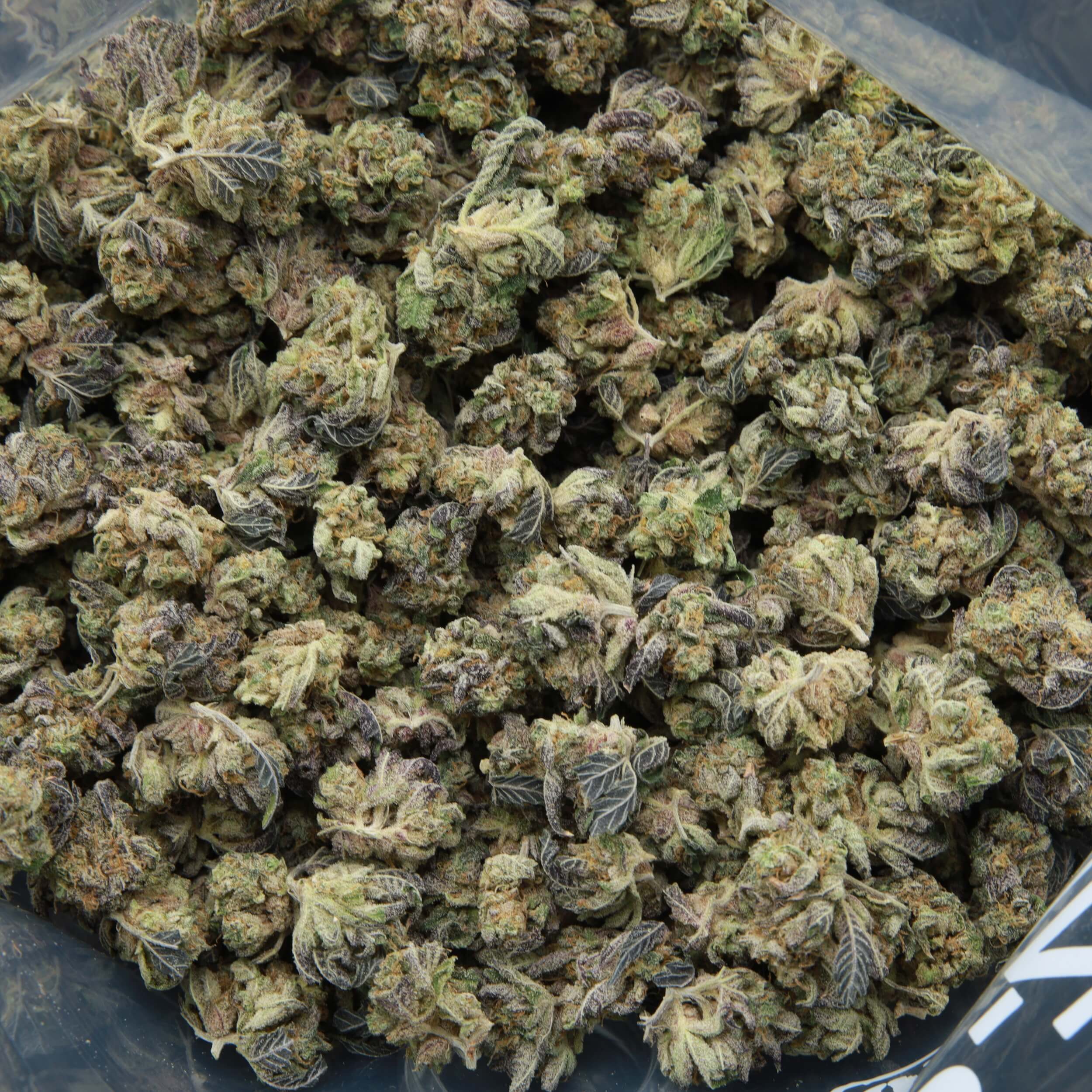 High resolution version of Dream Cookies from Elephant Garden