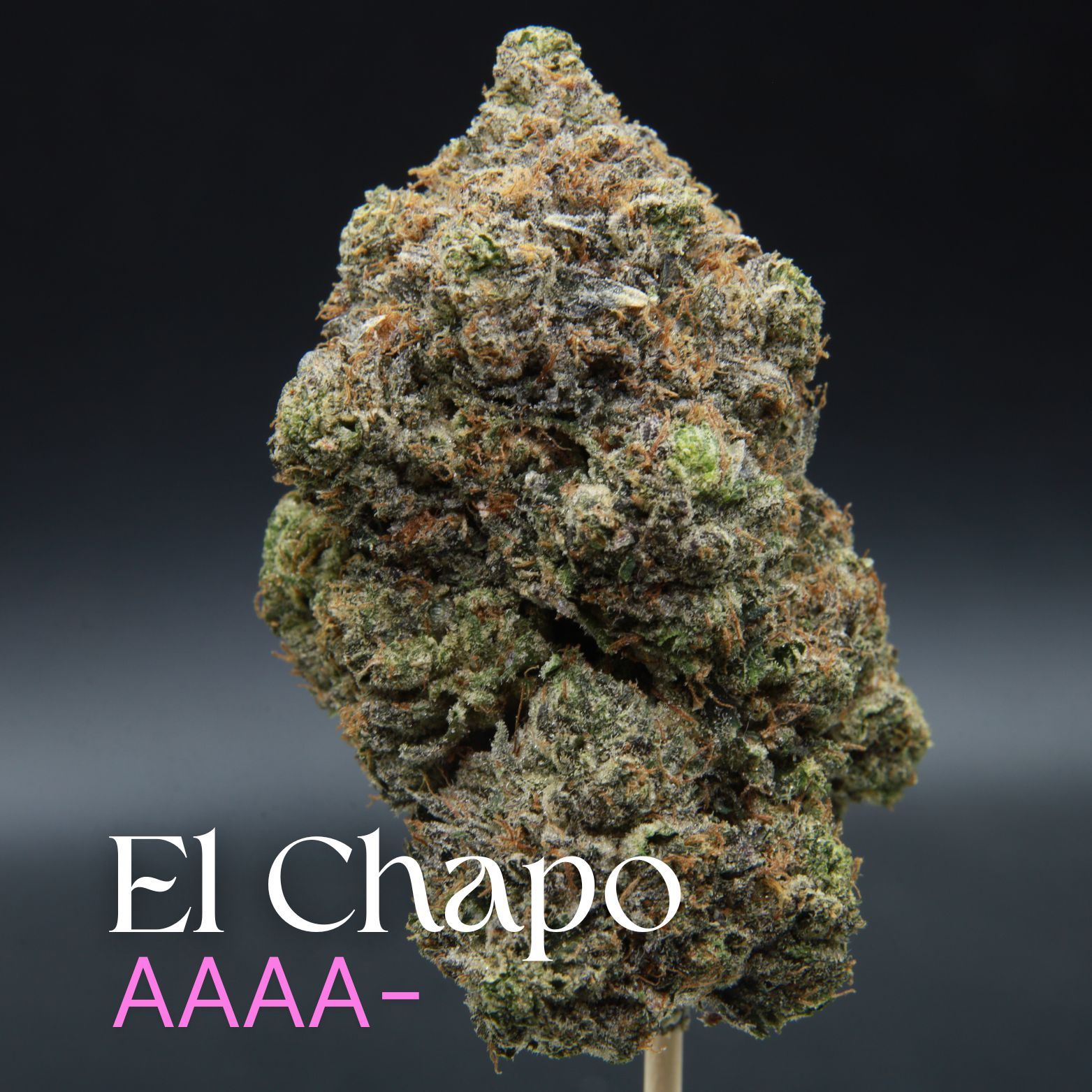Buy El Chapo Indica from Elephant Garden co