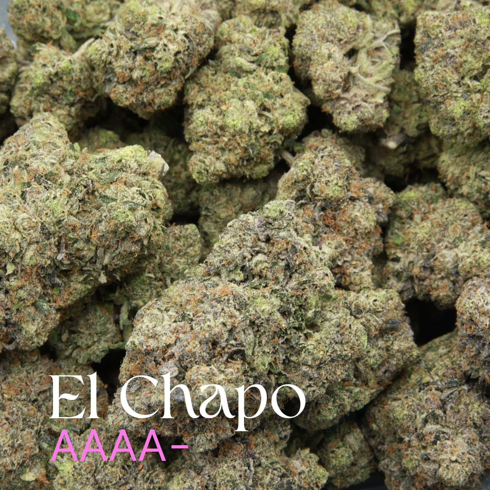 Buy El Chapo buds from Elephant Garden Co