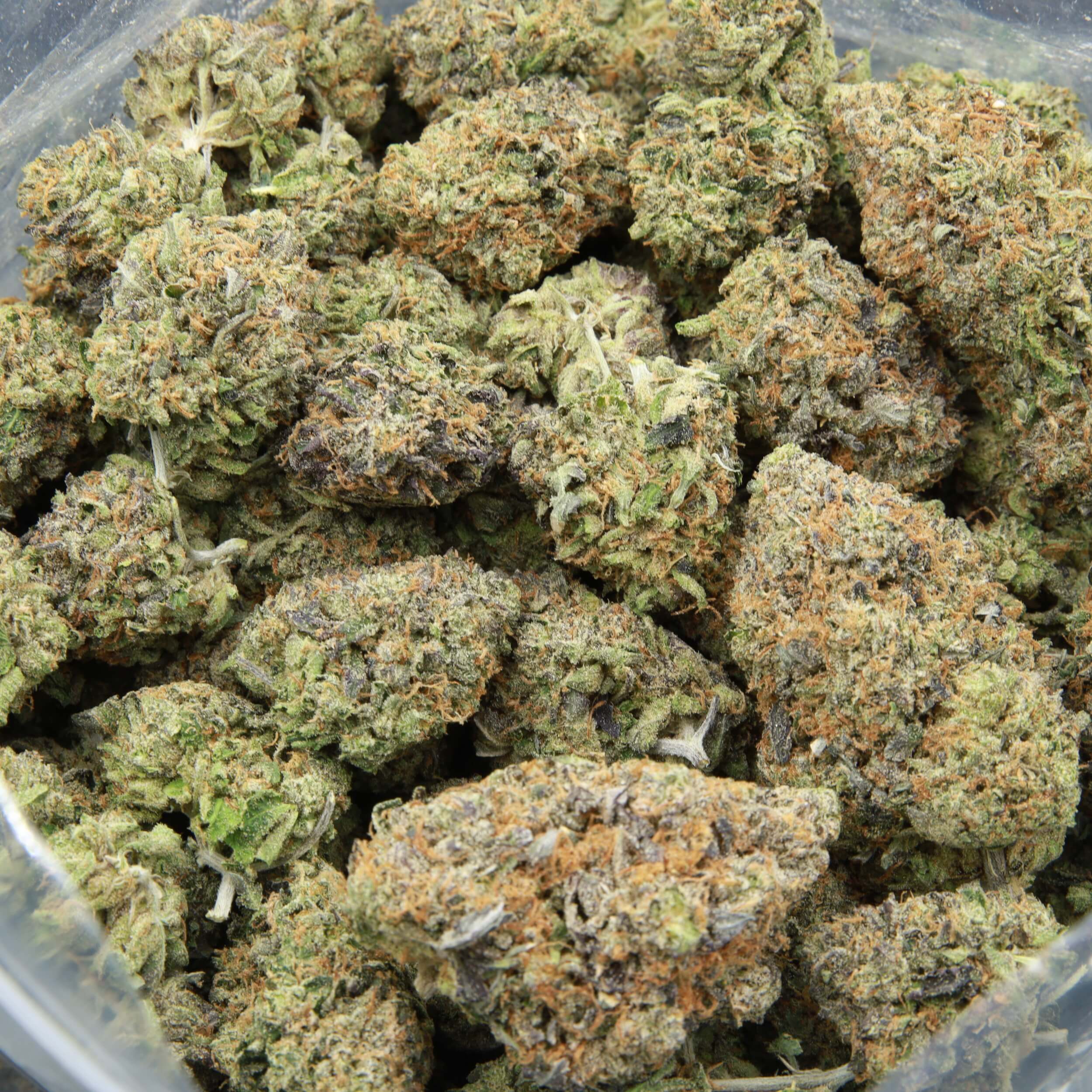 High resolution image of Godfather OG from Elephant Garden