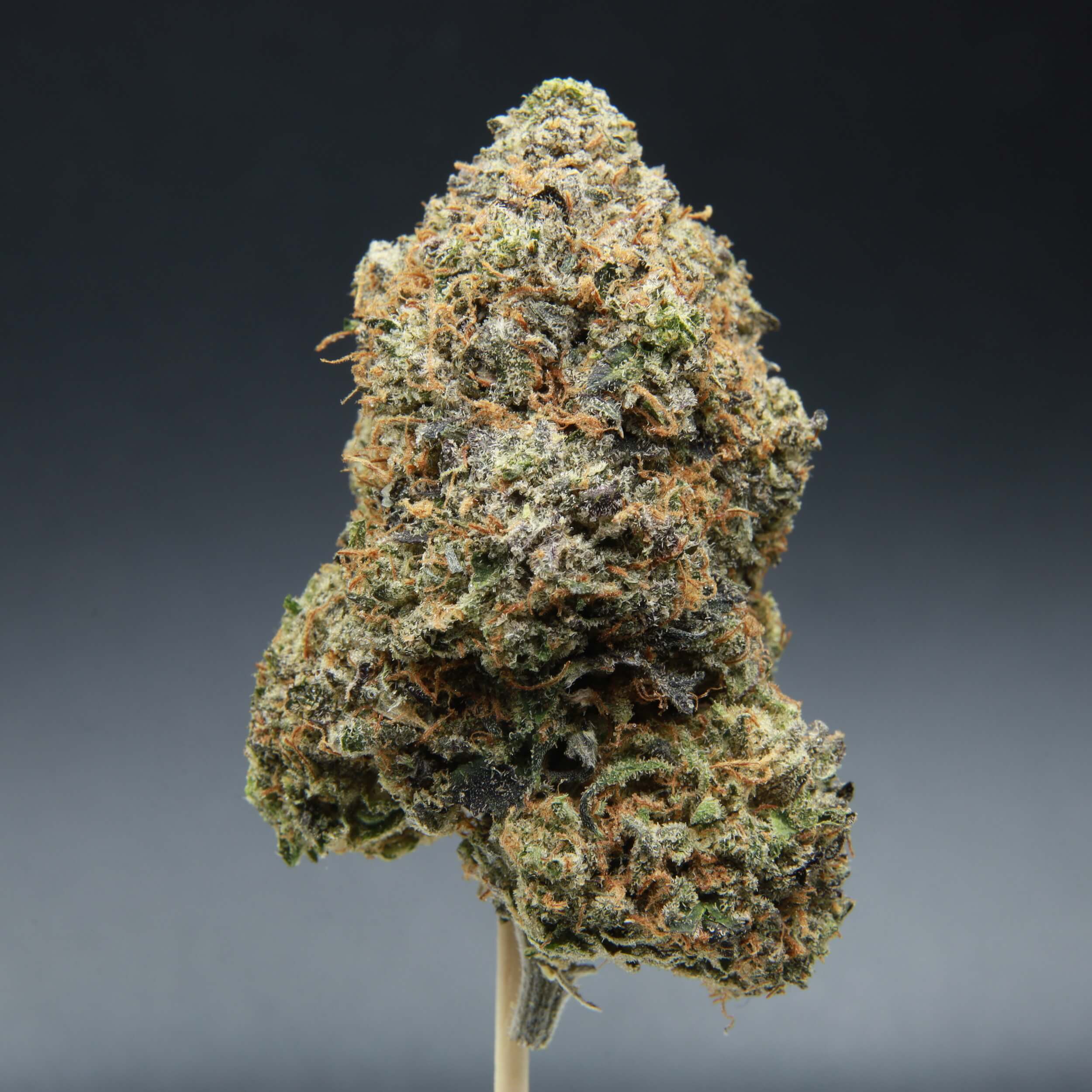 Godfather OG - Indica - AAA+ - Image 3