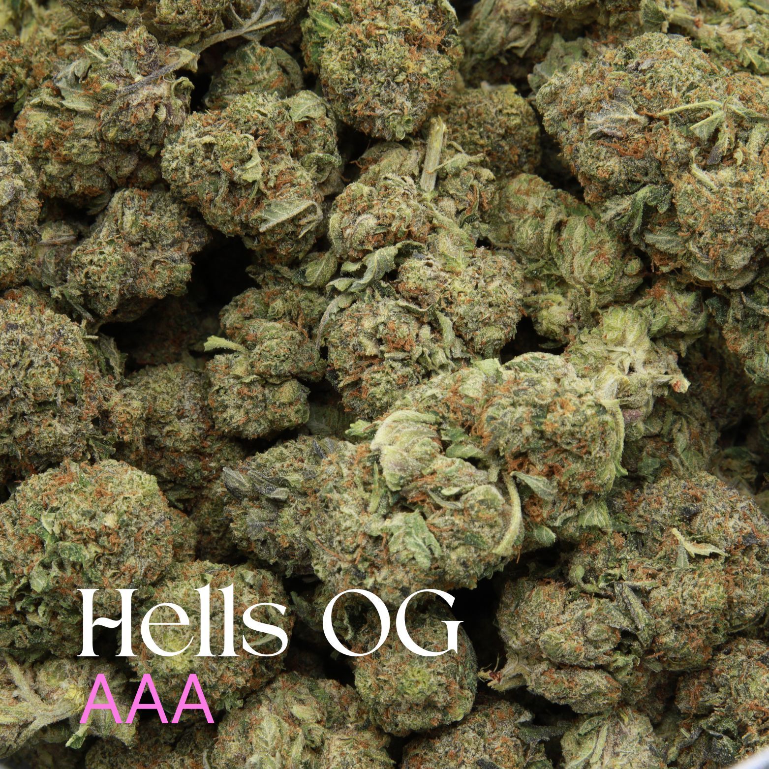 Buy Hells OG from Elephant Garden Co