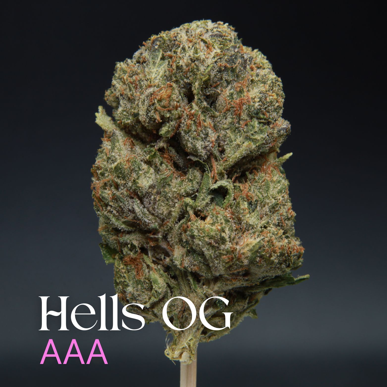 Buy Hells OG from Elephant Garden Co