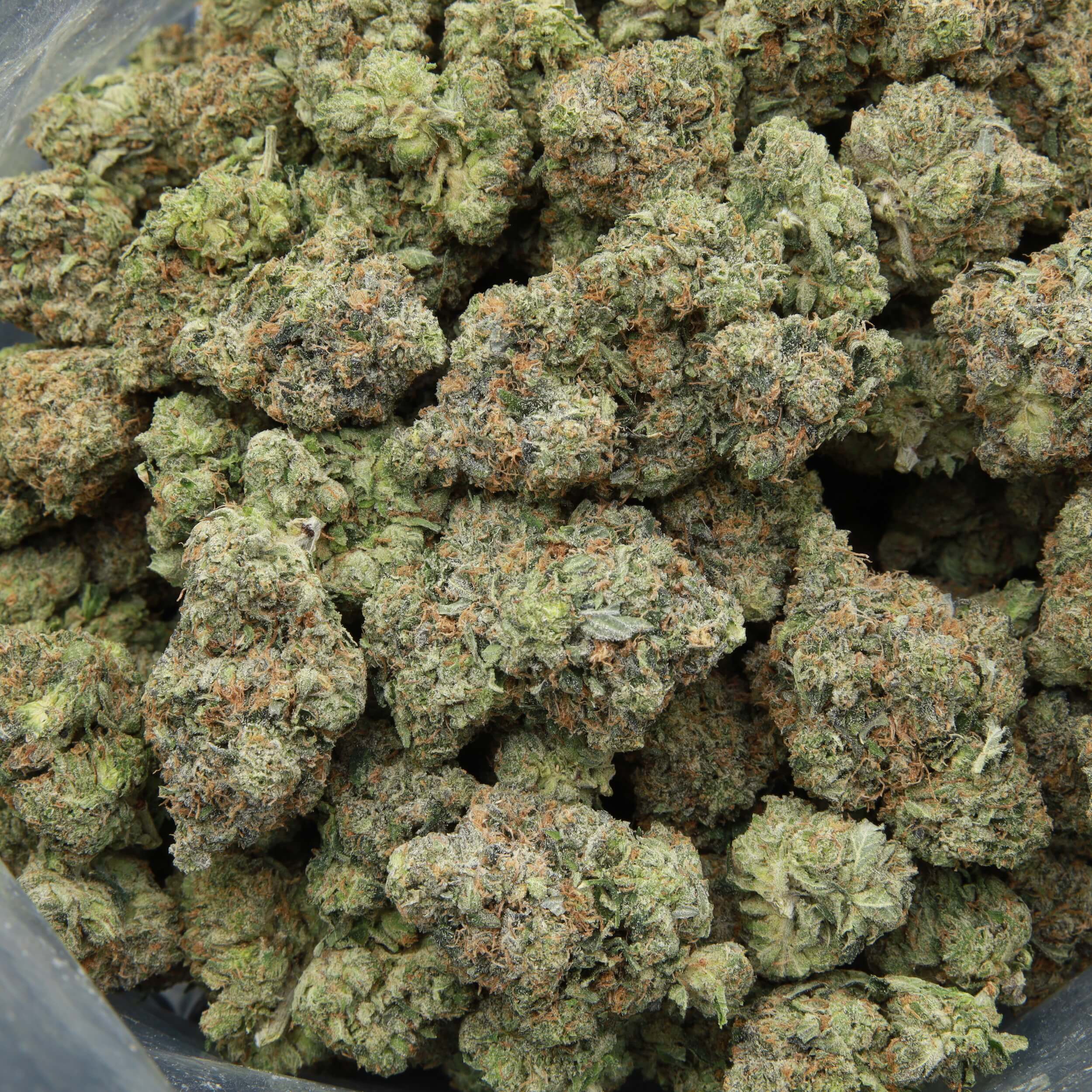 Pink Ultra - Indica - AAA+ - Image 4