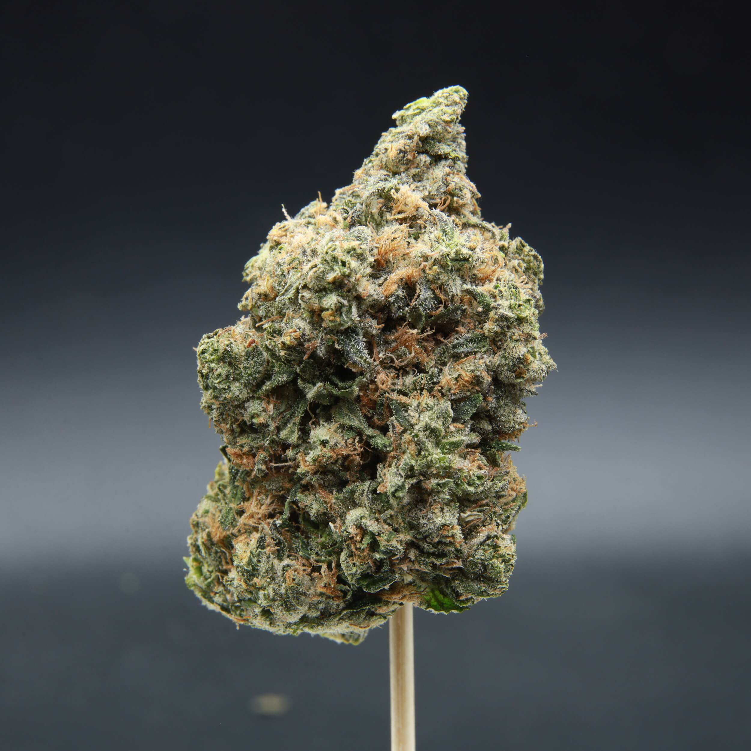 Pink Ultra - Indica - AAA+ - Image 3