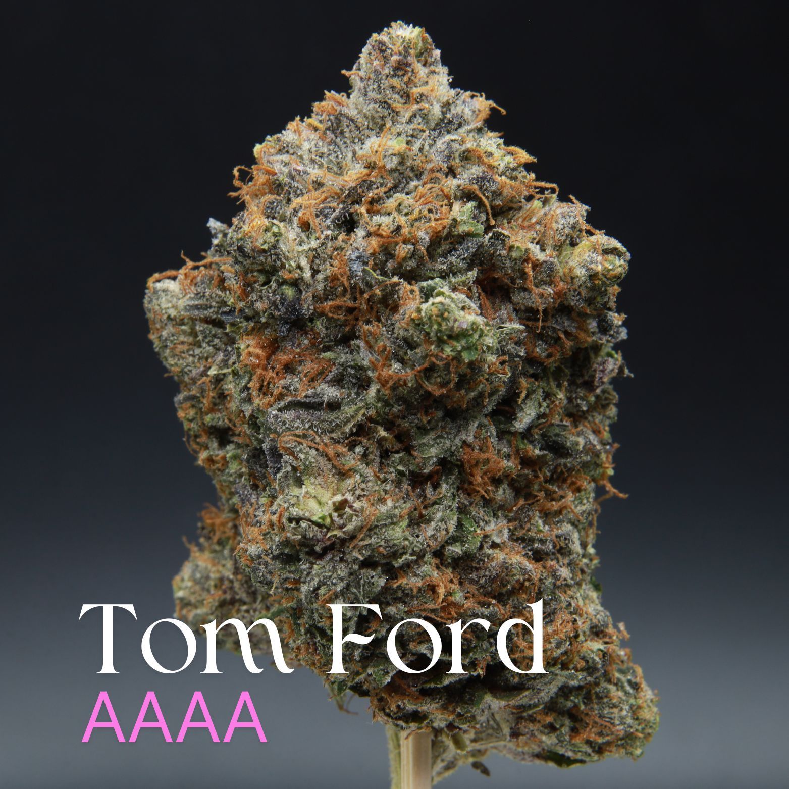 Tom Ford AAAA indica delivers luxury-grade relaxation with earthy honey and citrus flavours.