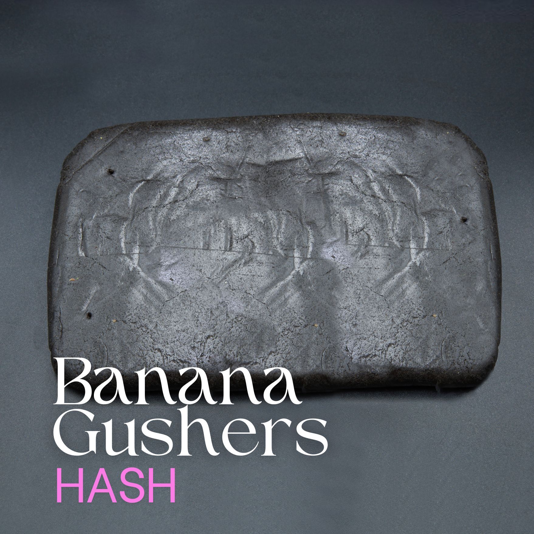Banana Gushers Hash elephant garden