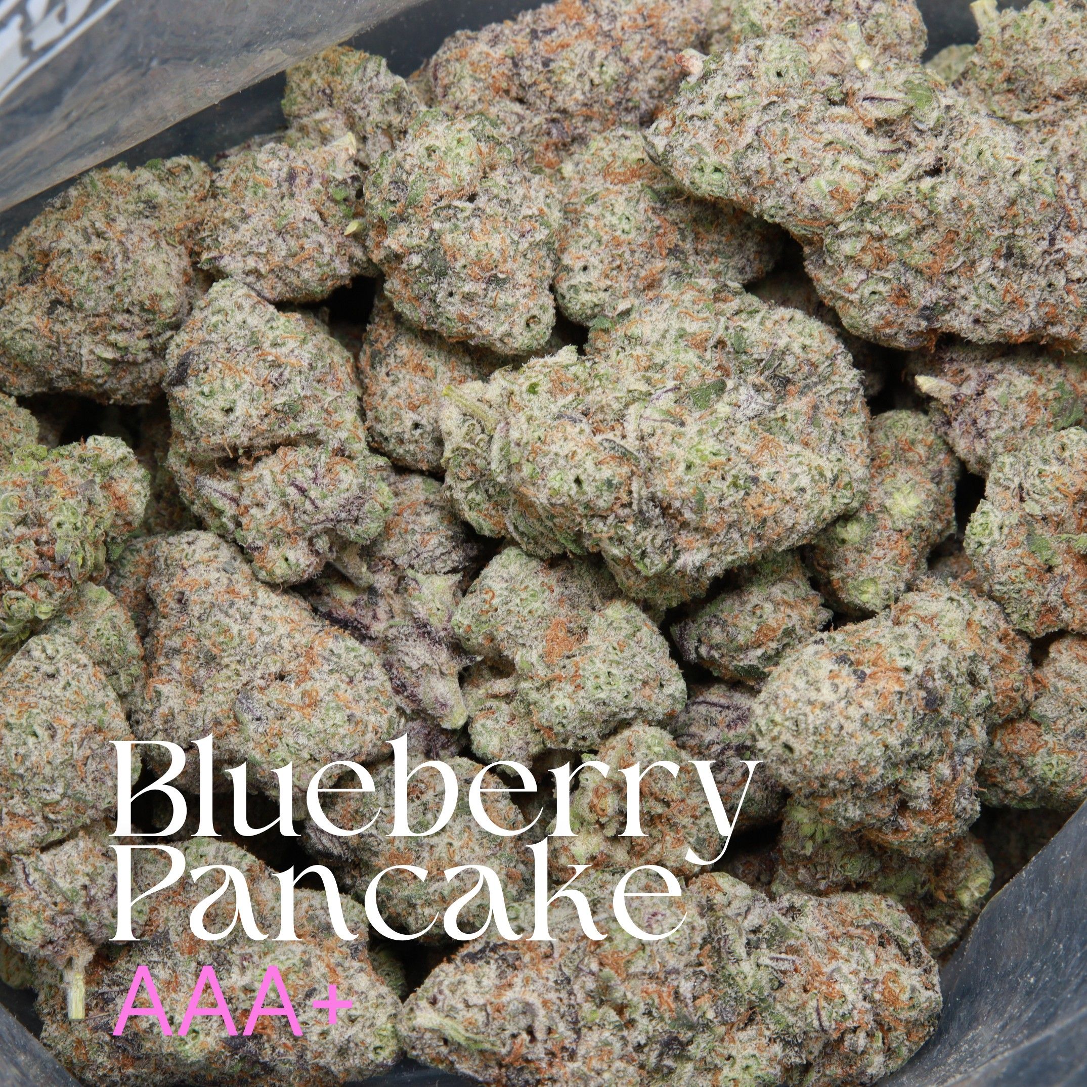 Blueberry Pancake Elephant Garden multiple cannabis buds