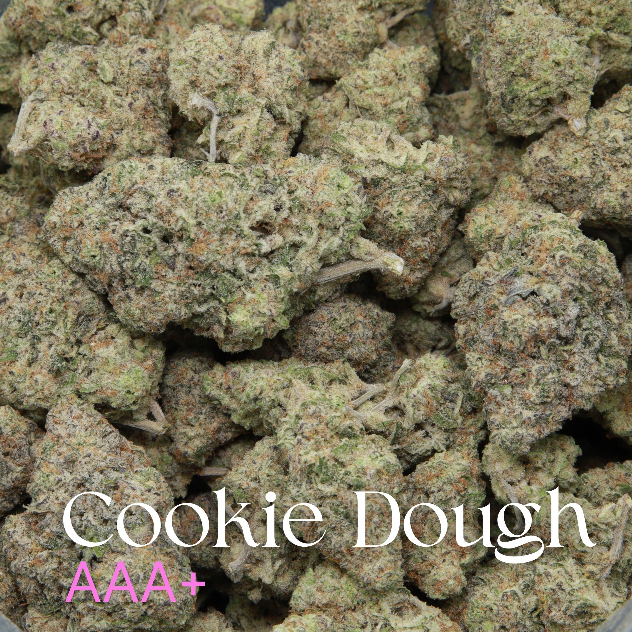 Cookie Dough cannabis from Elephant Garden multiple buds