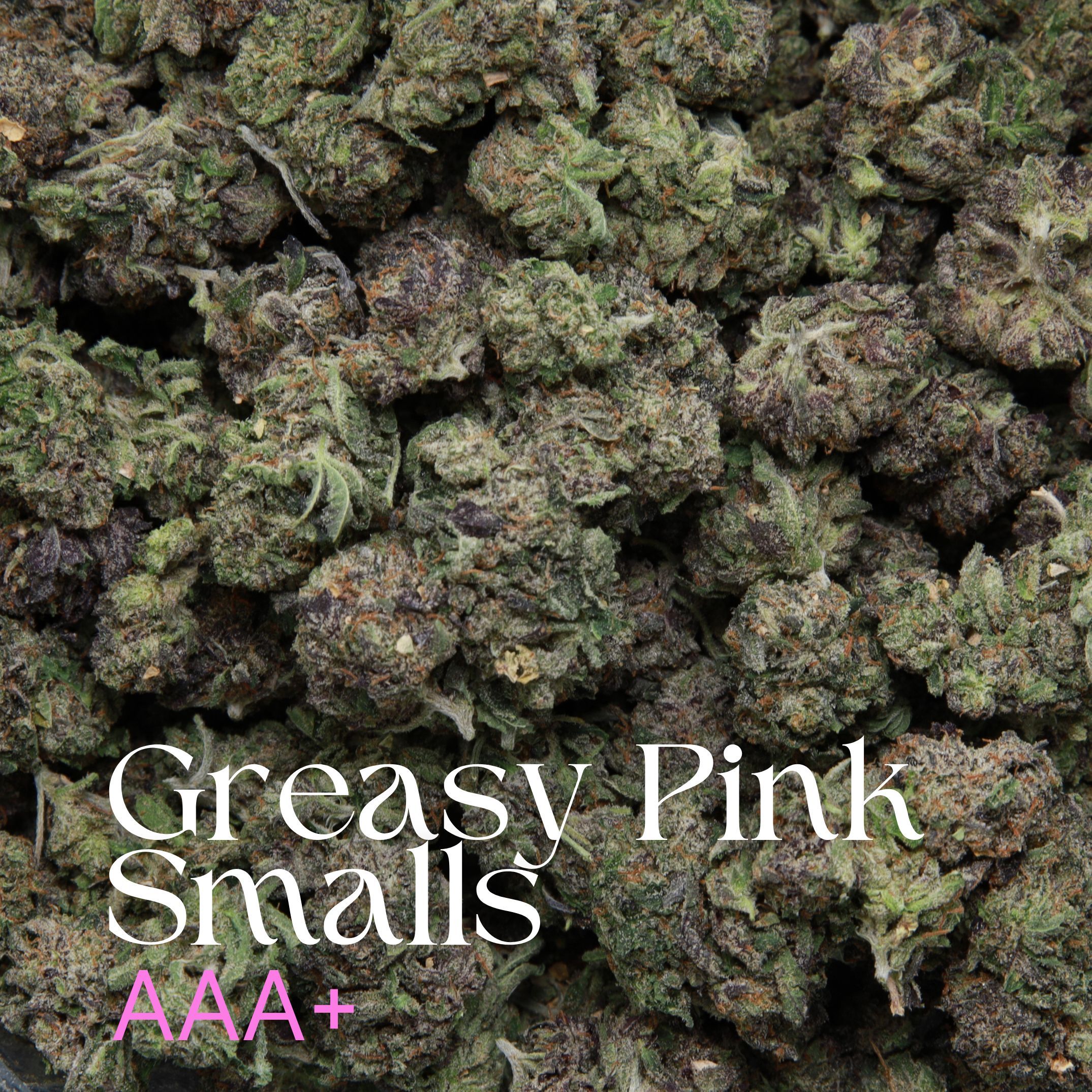 Greasy Pink Smalls elephant garden