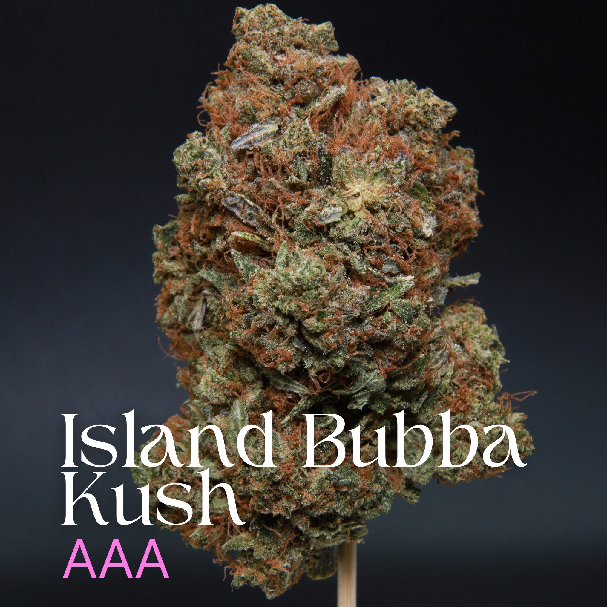 Buy BC cannabis Island Bubba Kush from Elephant Garden