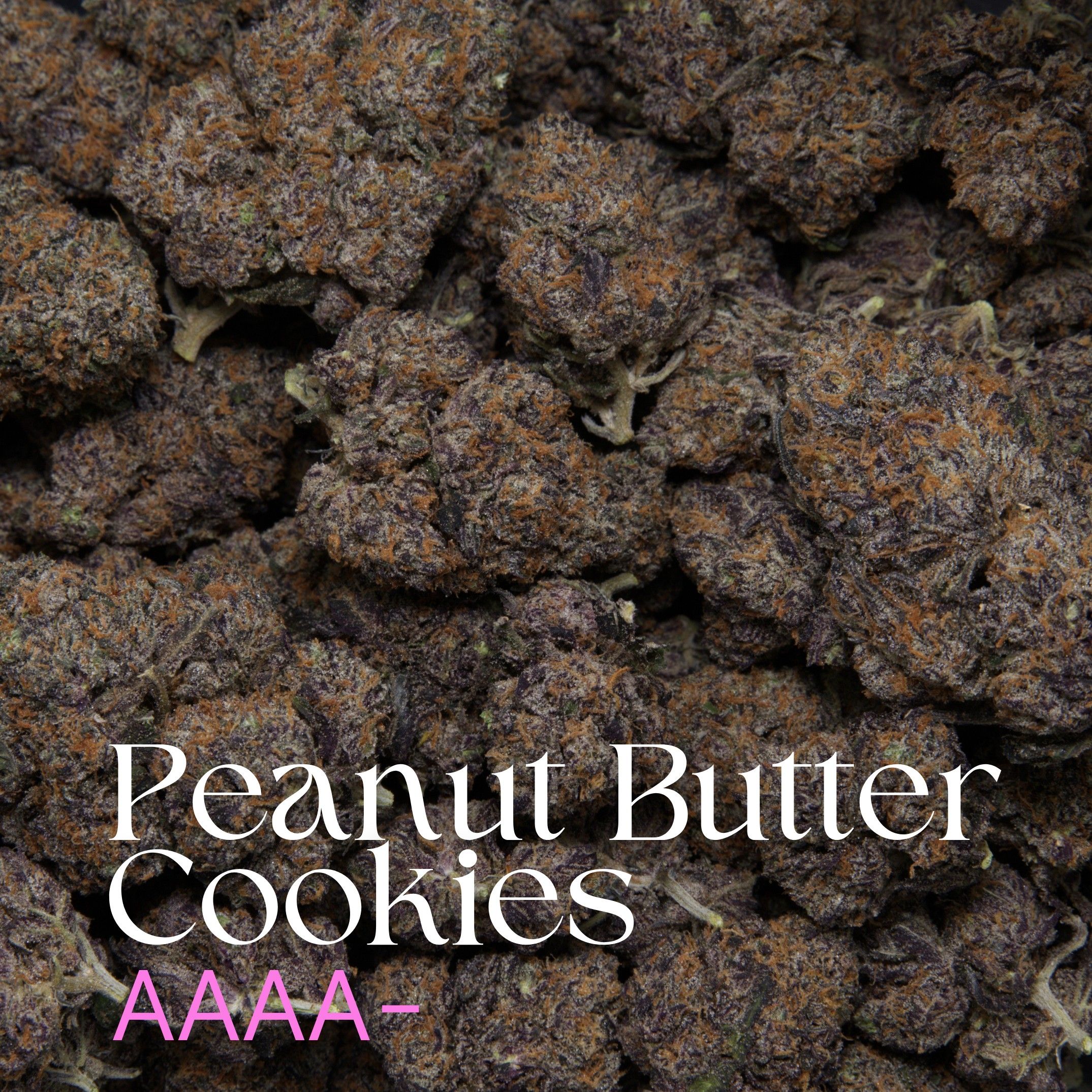 Peanut Butter Cookies Elephant Garden multiple cannabis buds