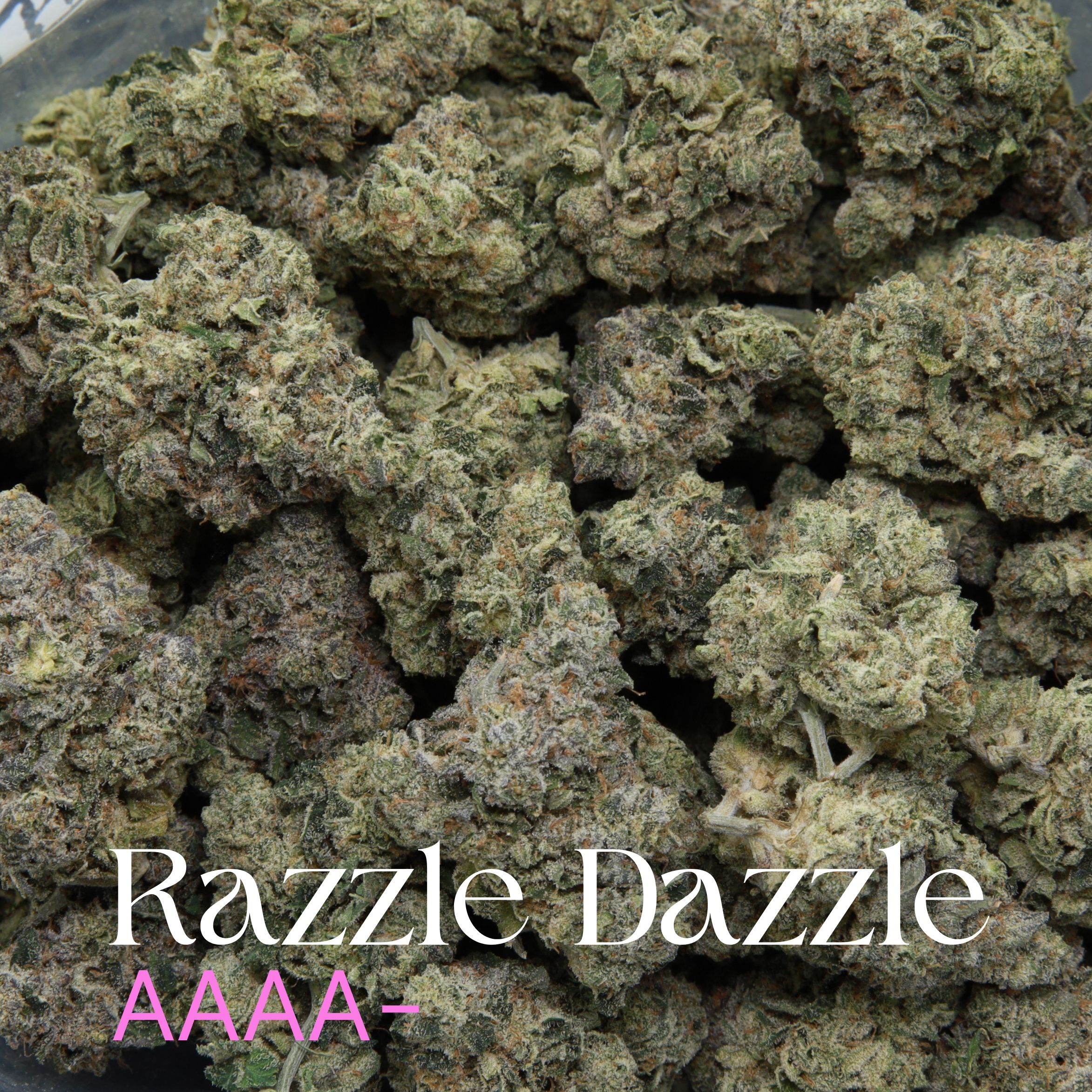 Razzle Dazzle cannabis from Elephant Garden multiple buds