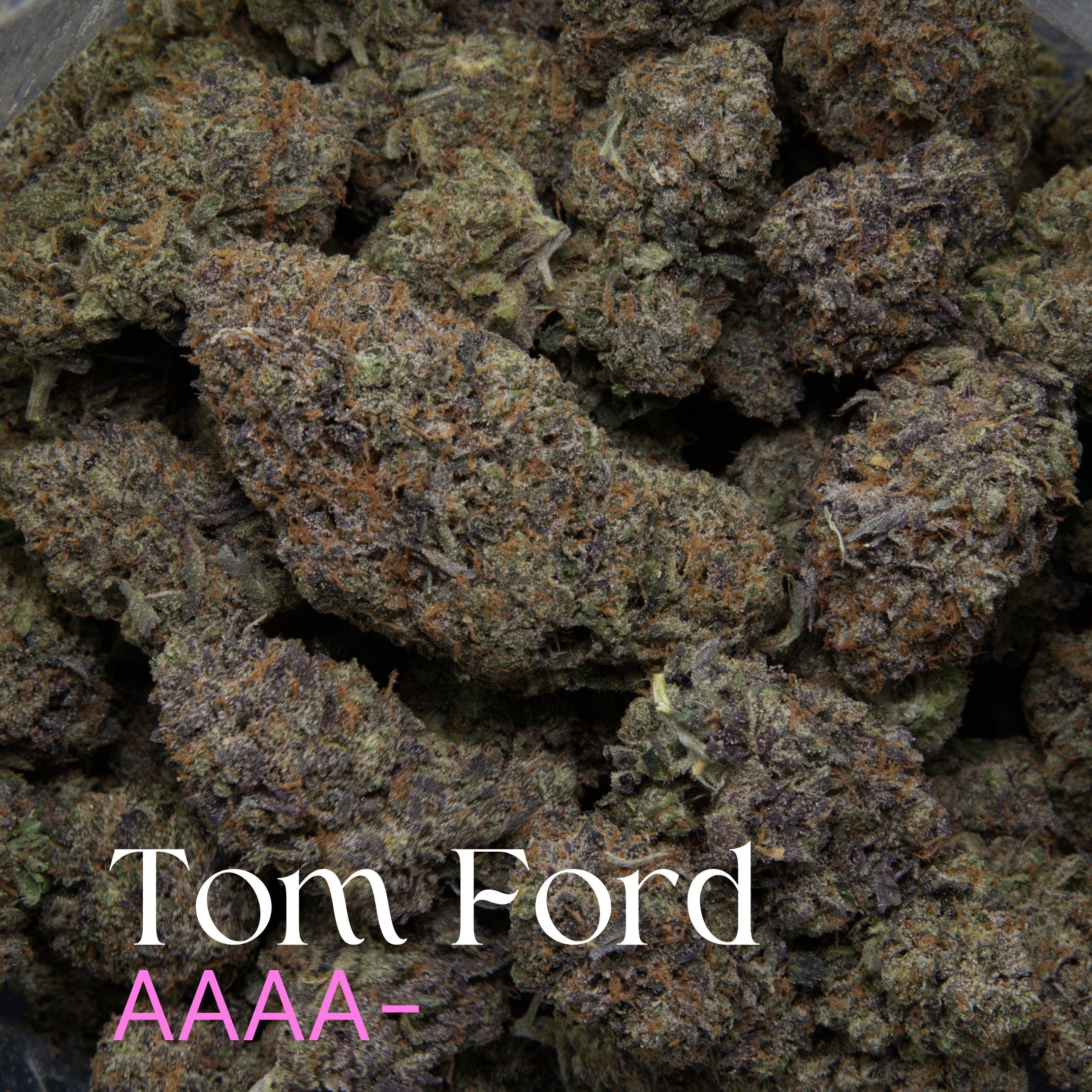 Tom Ford Elephant Garden multiple cannabis buds