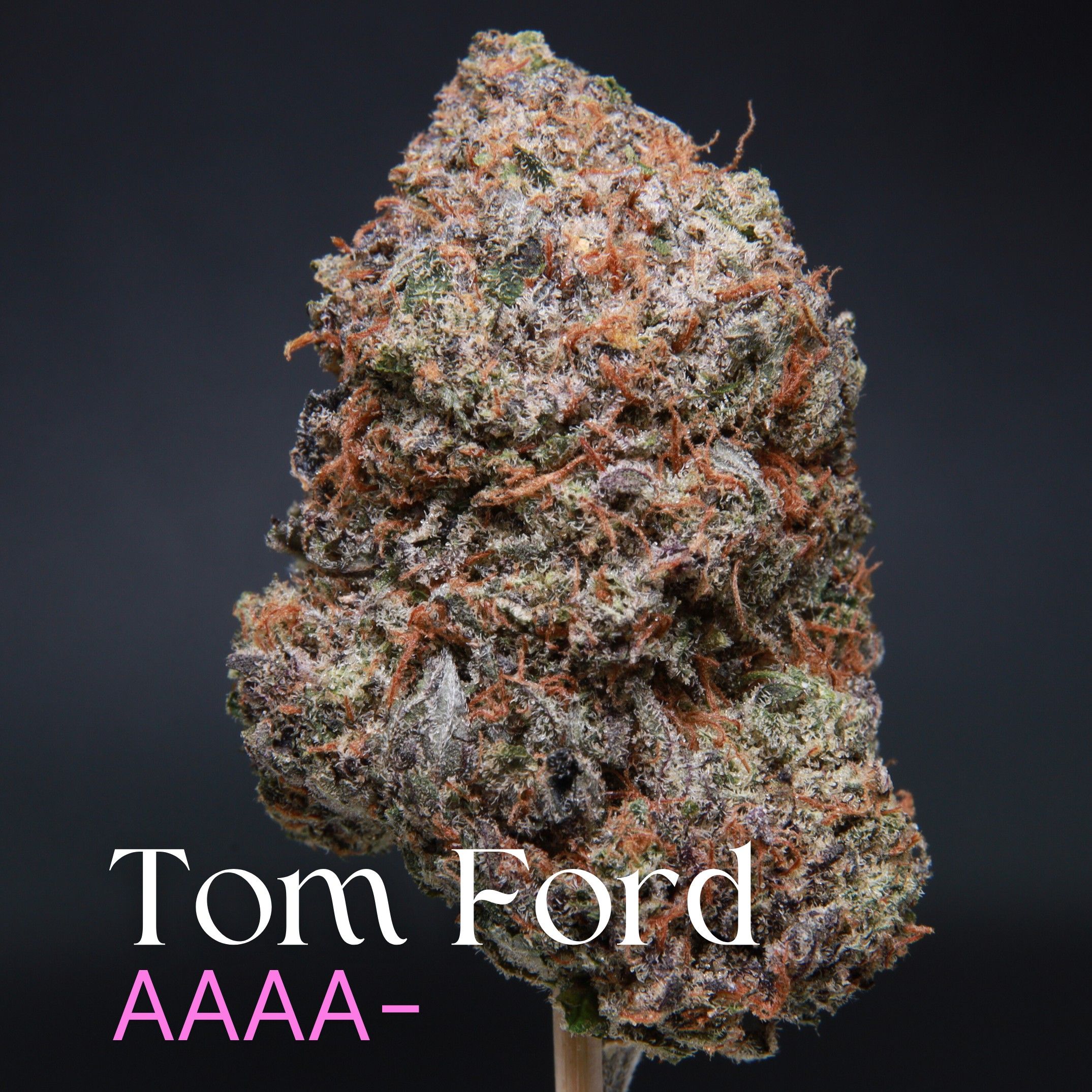 Tom Ford Elephant Garden single cannabis bud