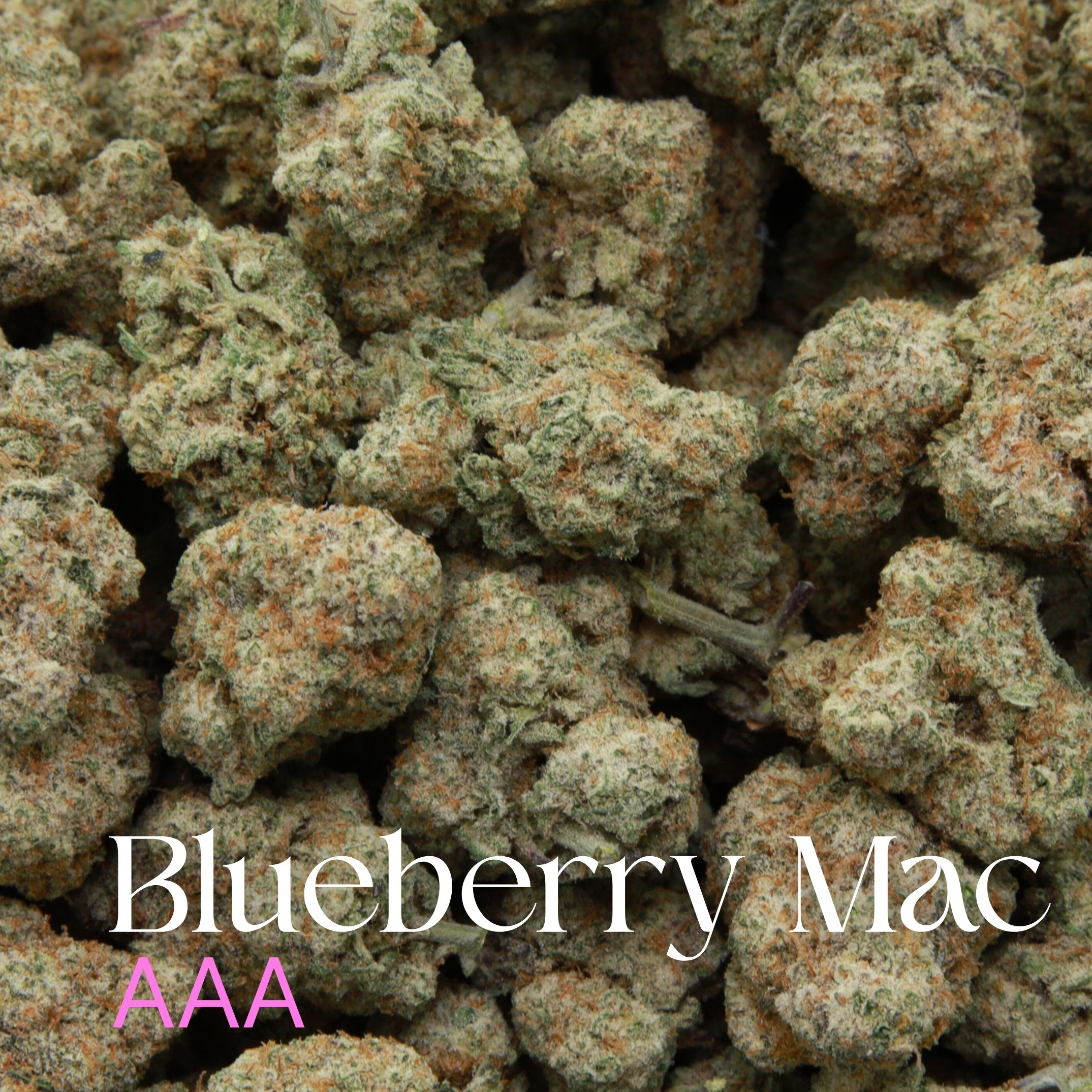 Bag of Blueberry MAC from Elephant Garden co.