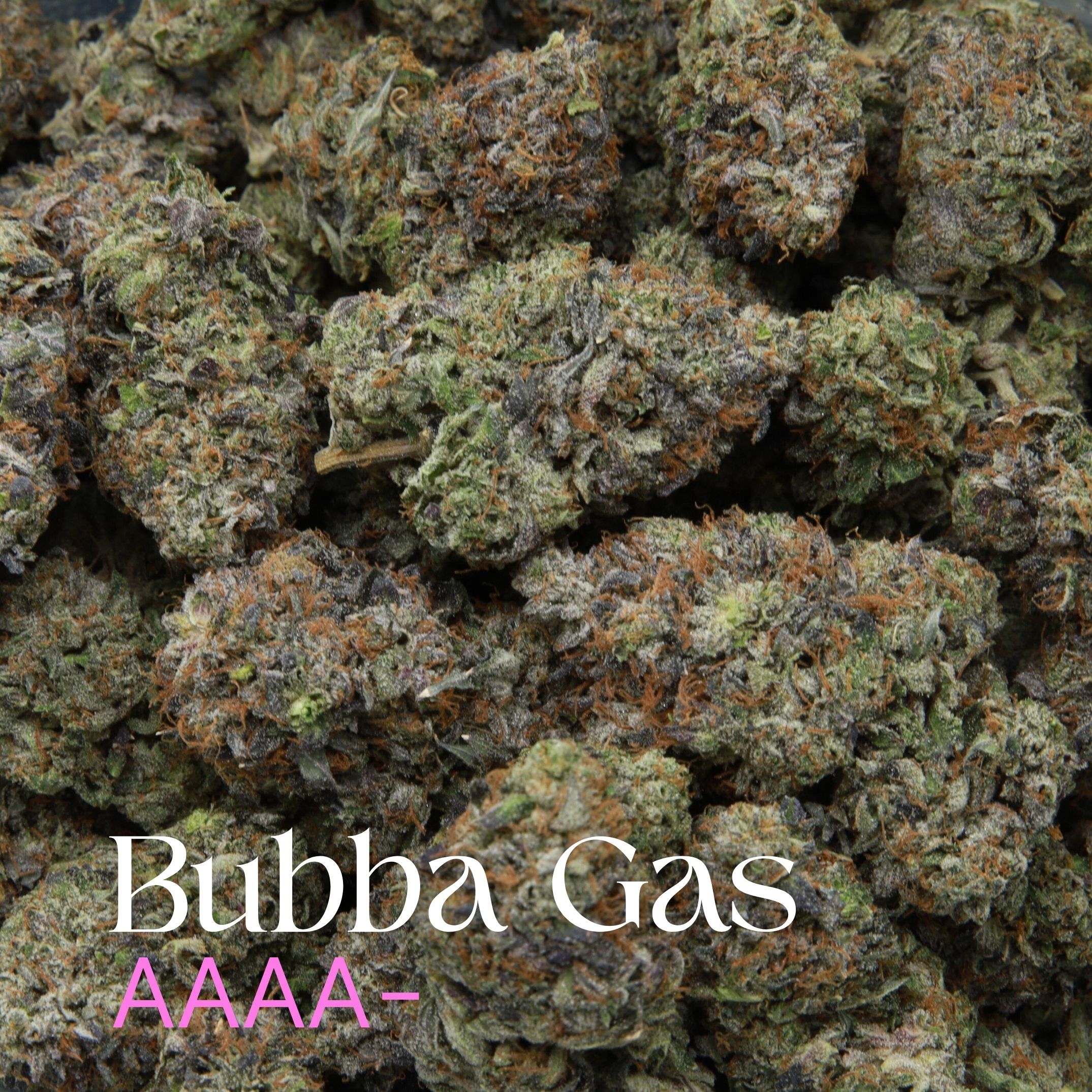 Multiple buds of Bubba Gas cannabis from Elephant Garden Co.
