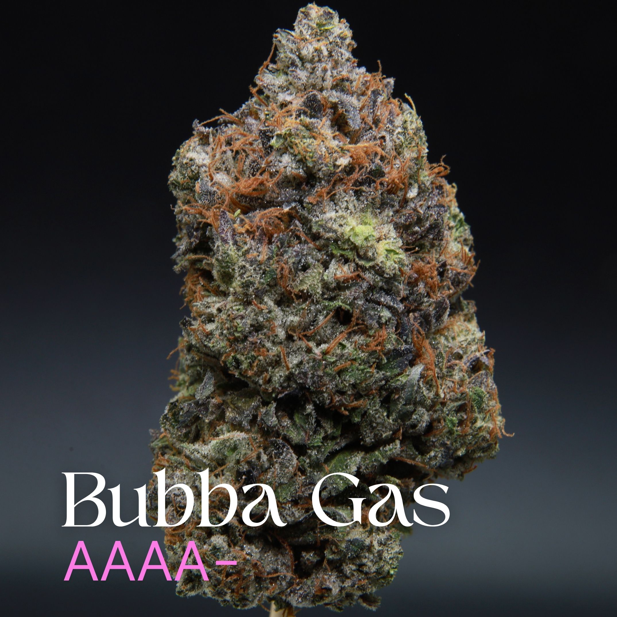 Single bud of Bubba Gas from Elephant Garden Co.