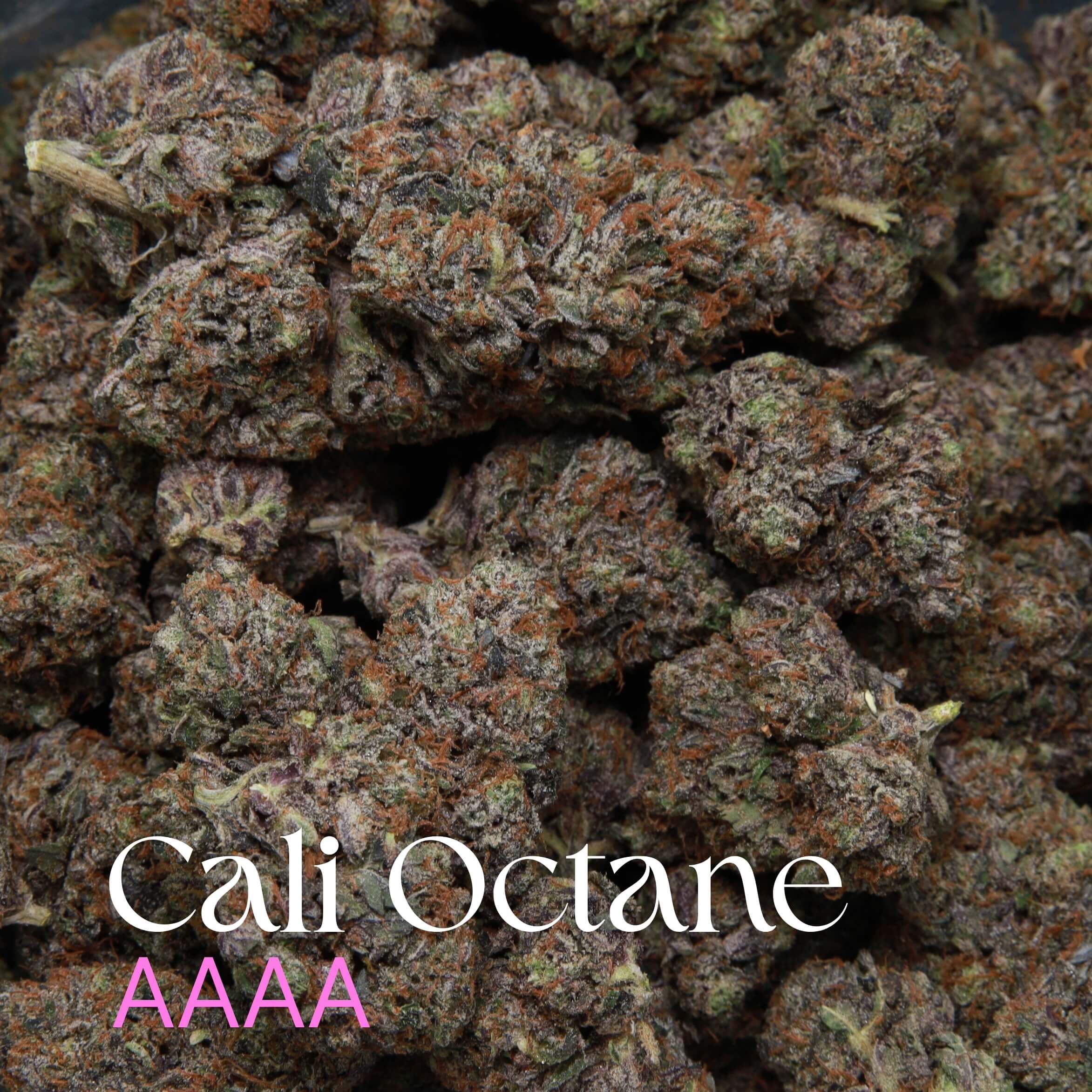 Multiple cannabis nugs of Cali-octane from Elephant Garden.