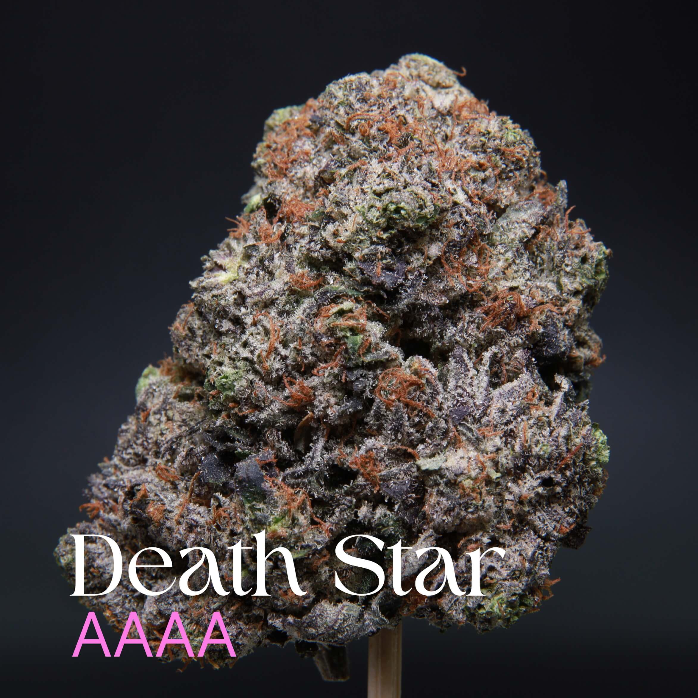 Single nug of Death Star from Elephant Garden.