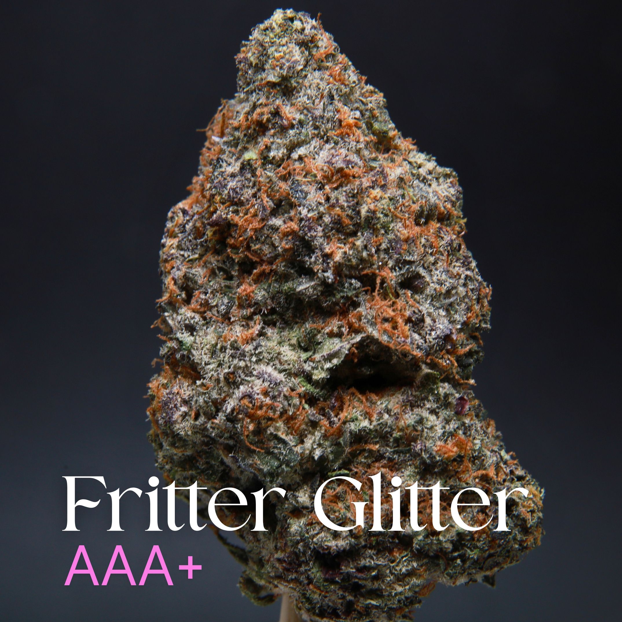 Single bud of Fritter Glitter cannabis from Elephant Garden