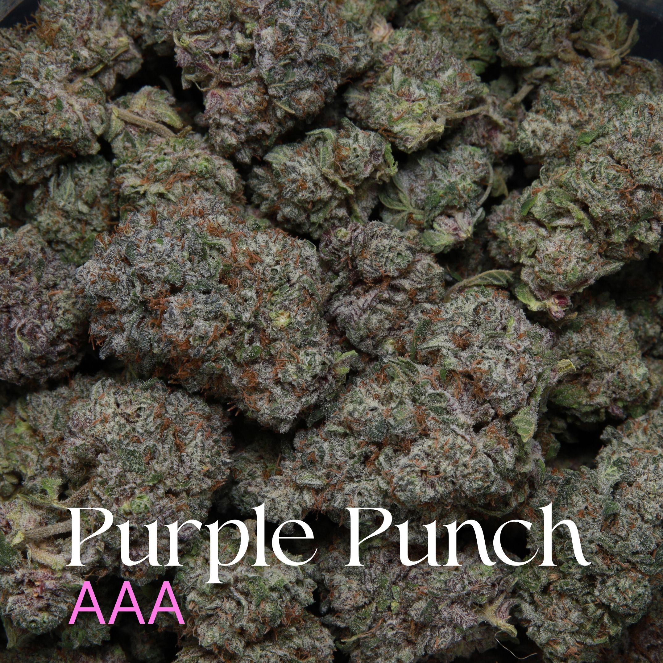 Bag of Purple Punch from Elephant Garden co.