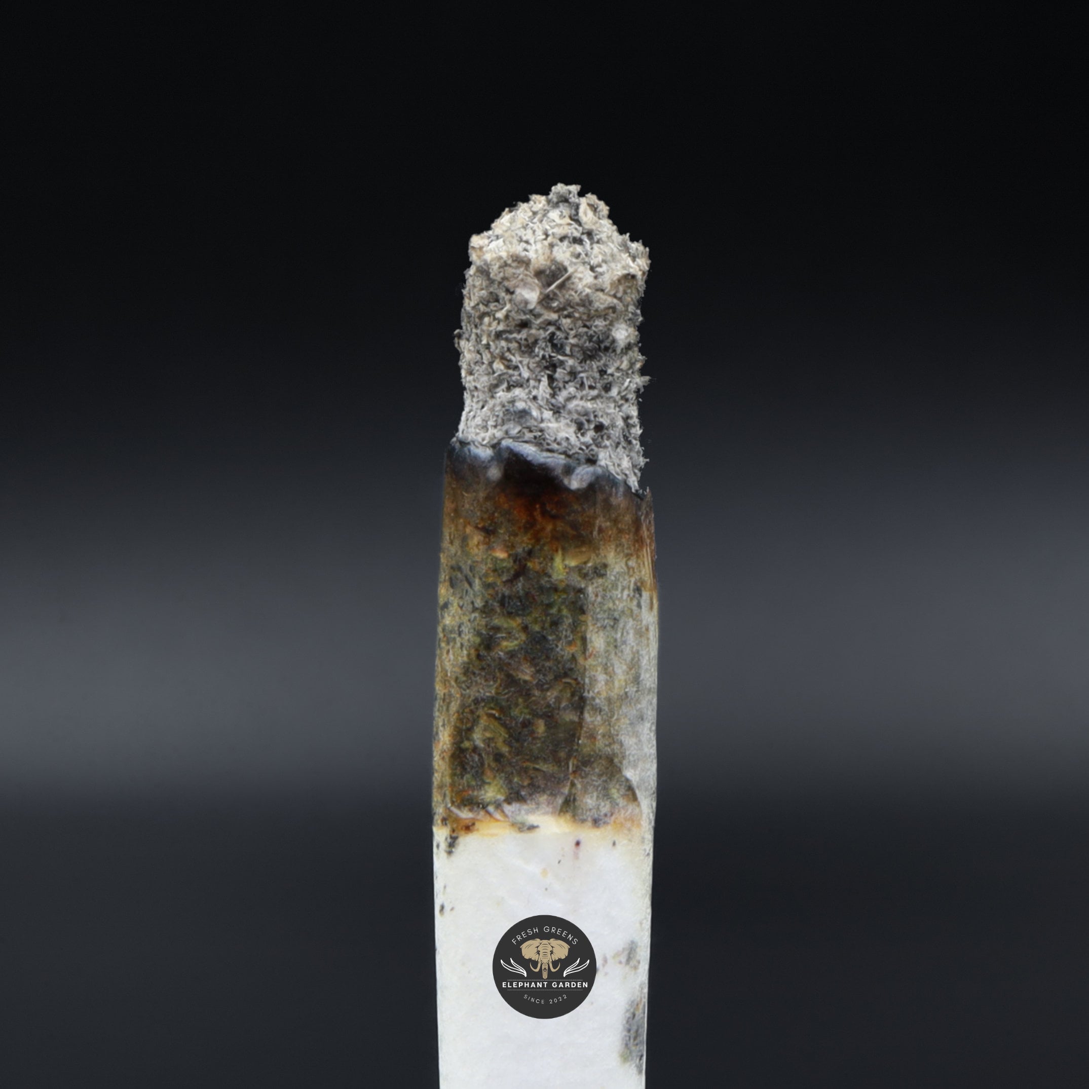 Burn image 91 Octane Elephant Garden March 2026