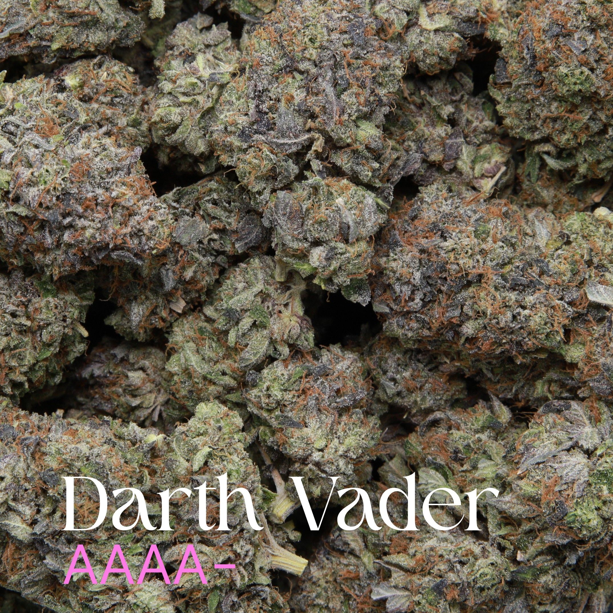 Darth Vader AAAA- - Image 2