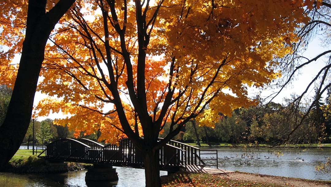 Scenic bridge over a river in Ontario representing the Grand River area near Brantford