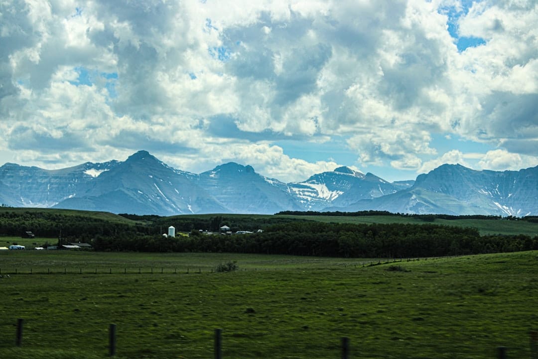 Green prairie field with Rocky Mountain foothills in southern Alberta near Lethbridge