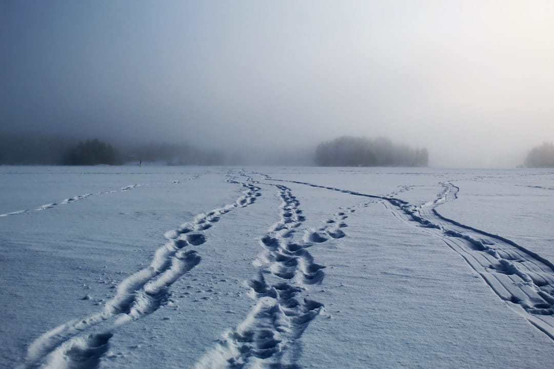 Vast snow-covered Arctic landscape during winter in northern Canada near Rankin Inlet Nunavut