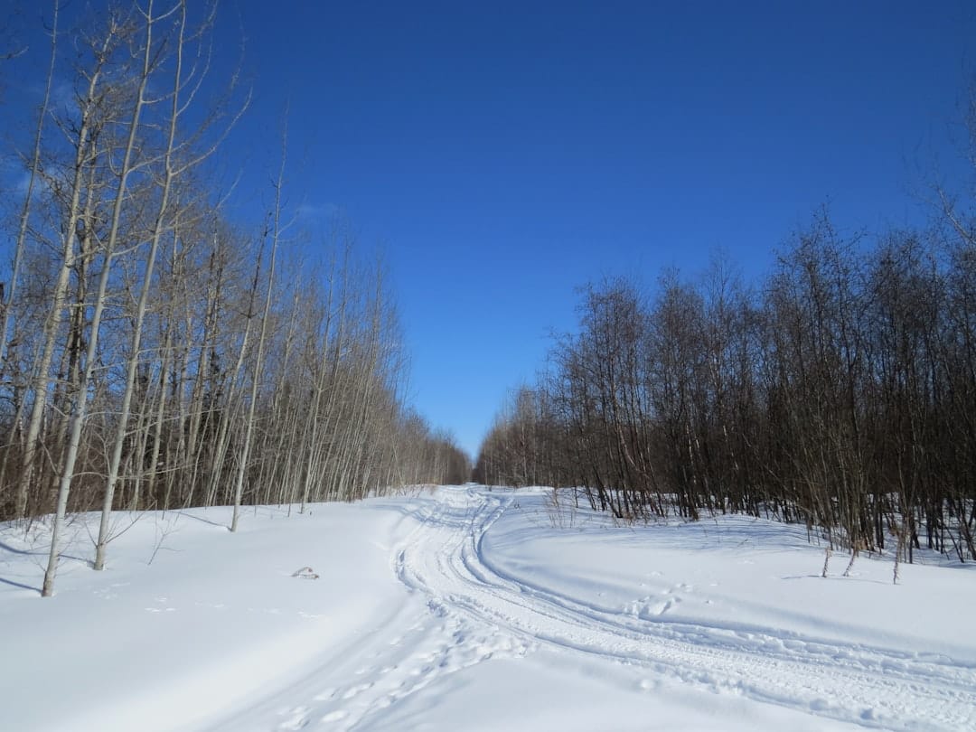 Snow covered road winding through a Northern Ontario boreal forest in winter