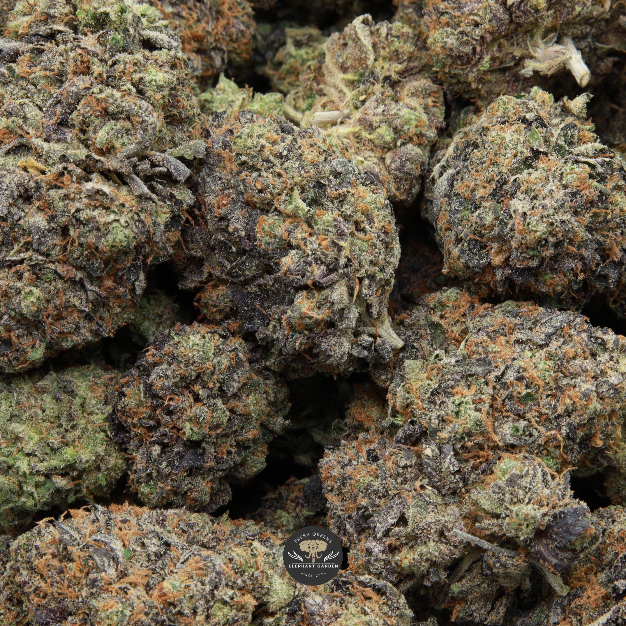 Bag image Grease Monkey Elephant Garden March 2026