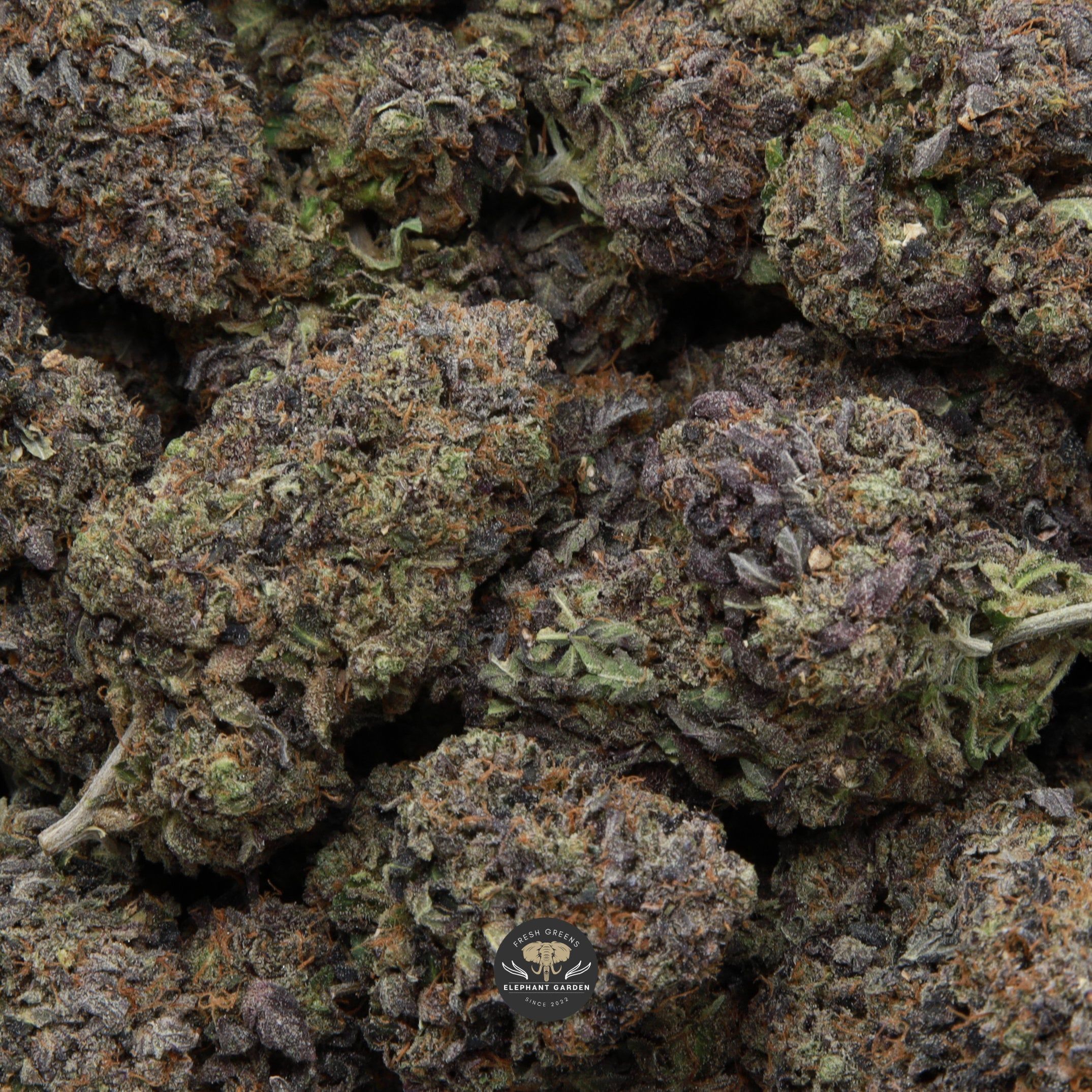 Bag image of Death Reaper Elephant Garden 2026