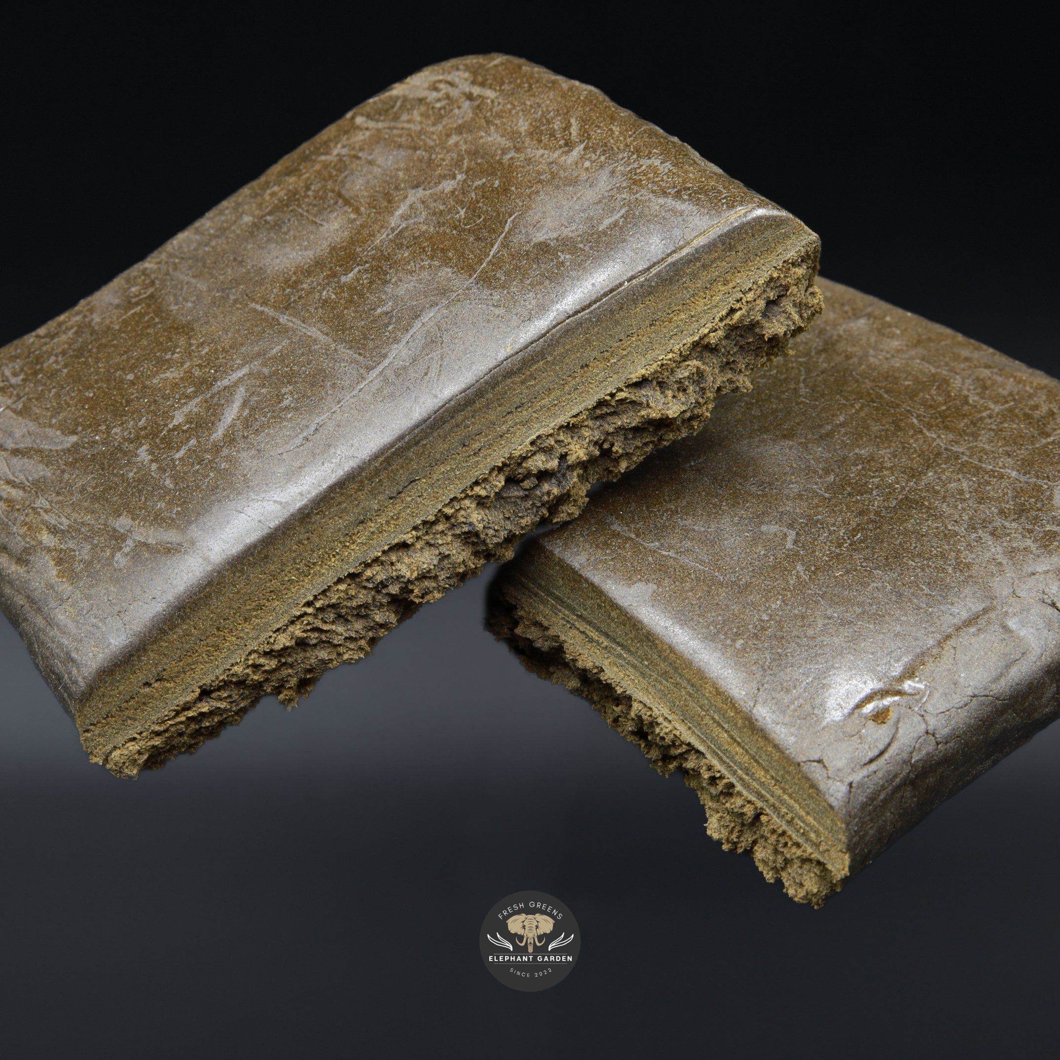 Blue Cheese Hash Rip V2 Elephant Garden March 2026