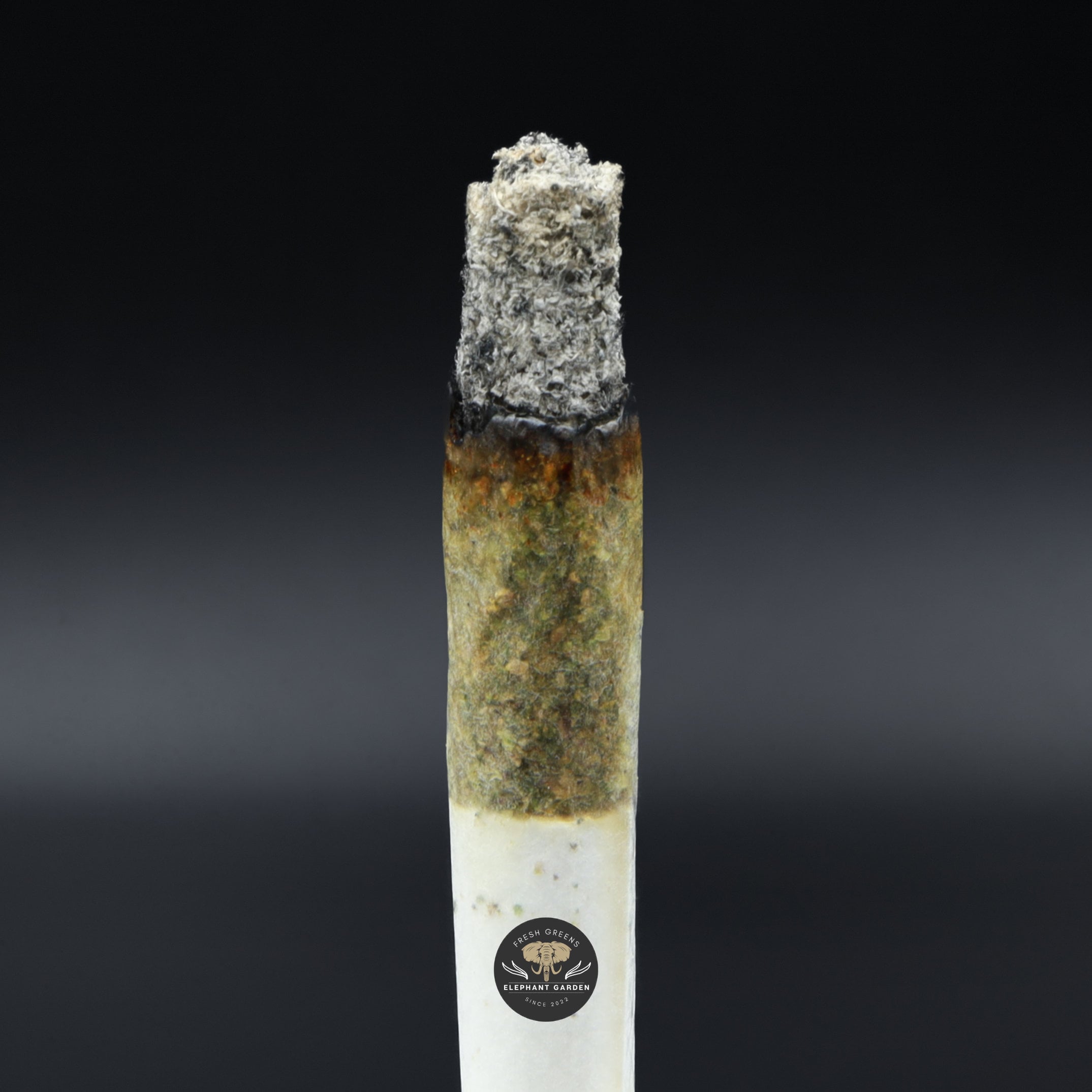 Blueberry Jam Popcorn burn test Elephant Garden March 2026