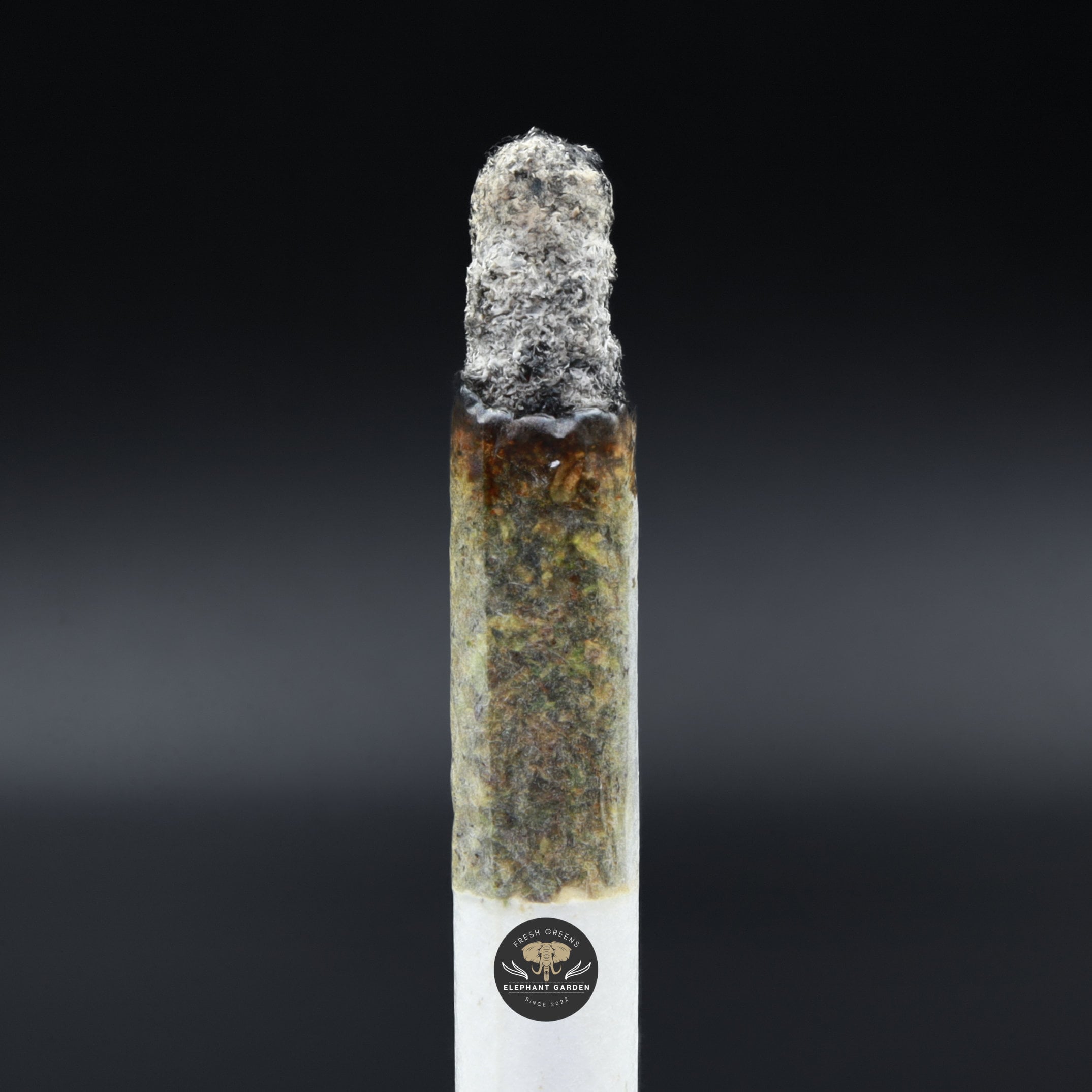 Burn shot Grease Monkey Elephant Garden March 2026