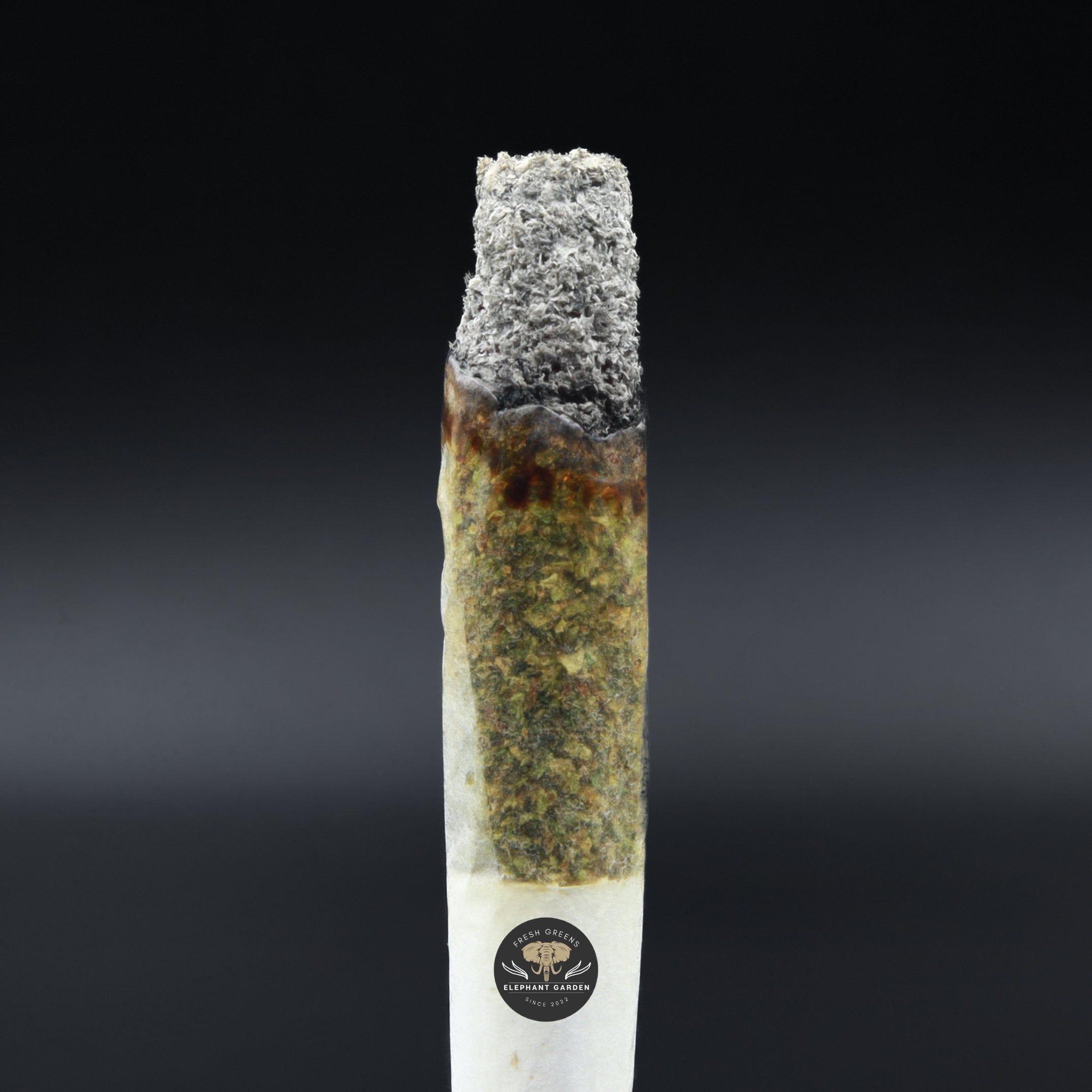 Burn Pic Ahi Tuna Elephant Garden March 2026