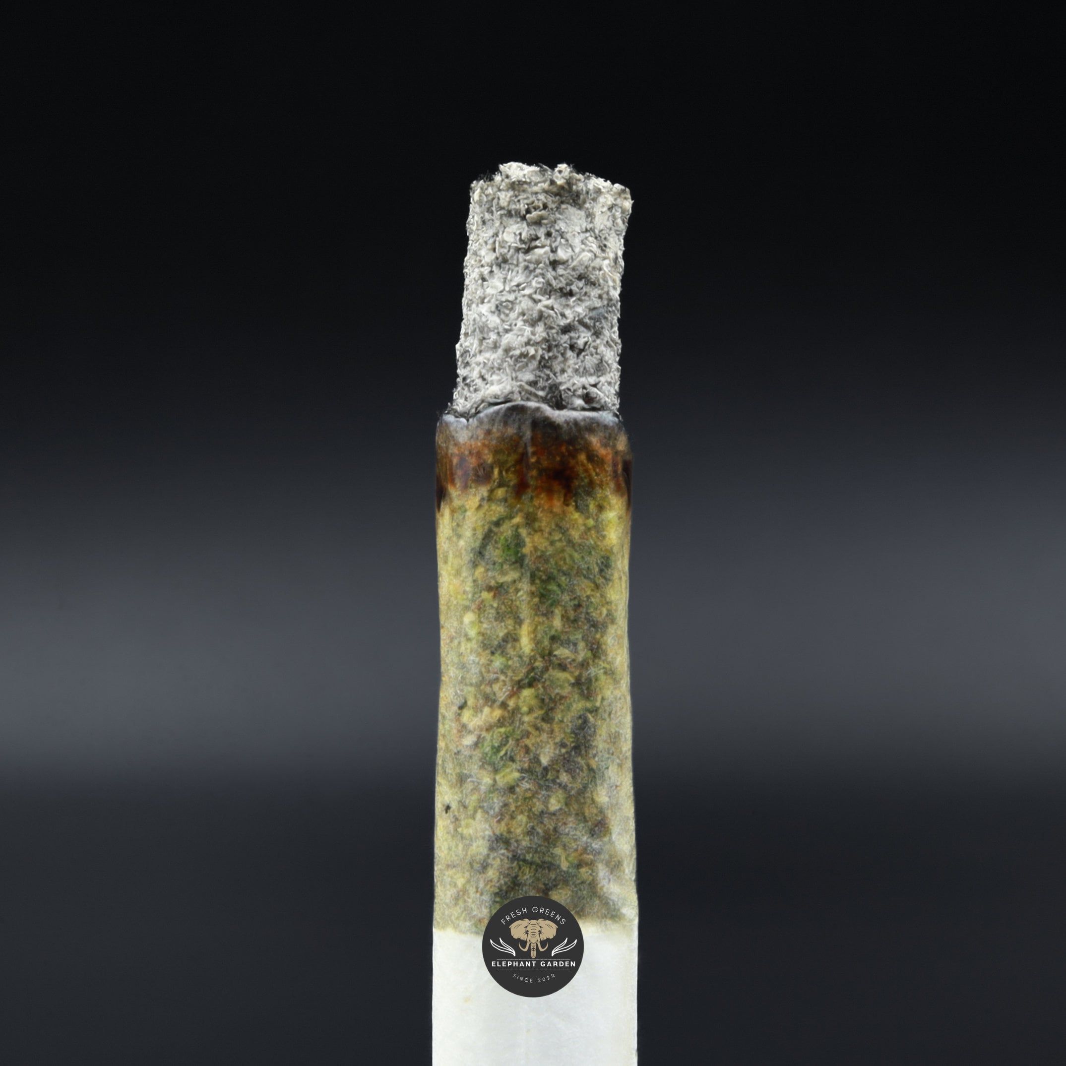 Burn Test Of Gastro Pop Popcorn Elephant Garden March 2026