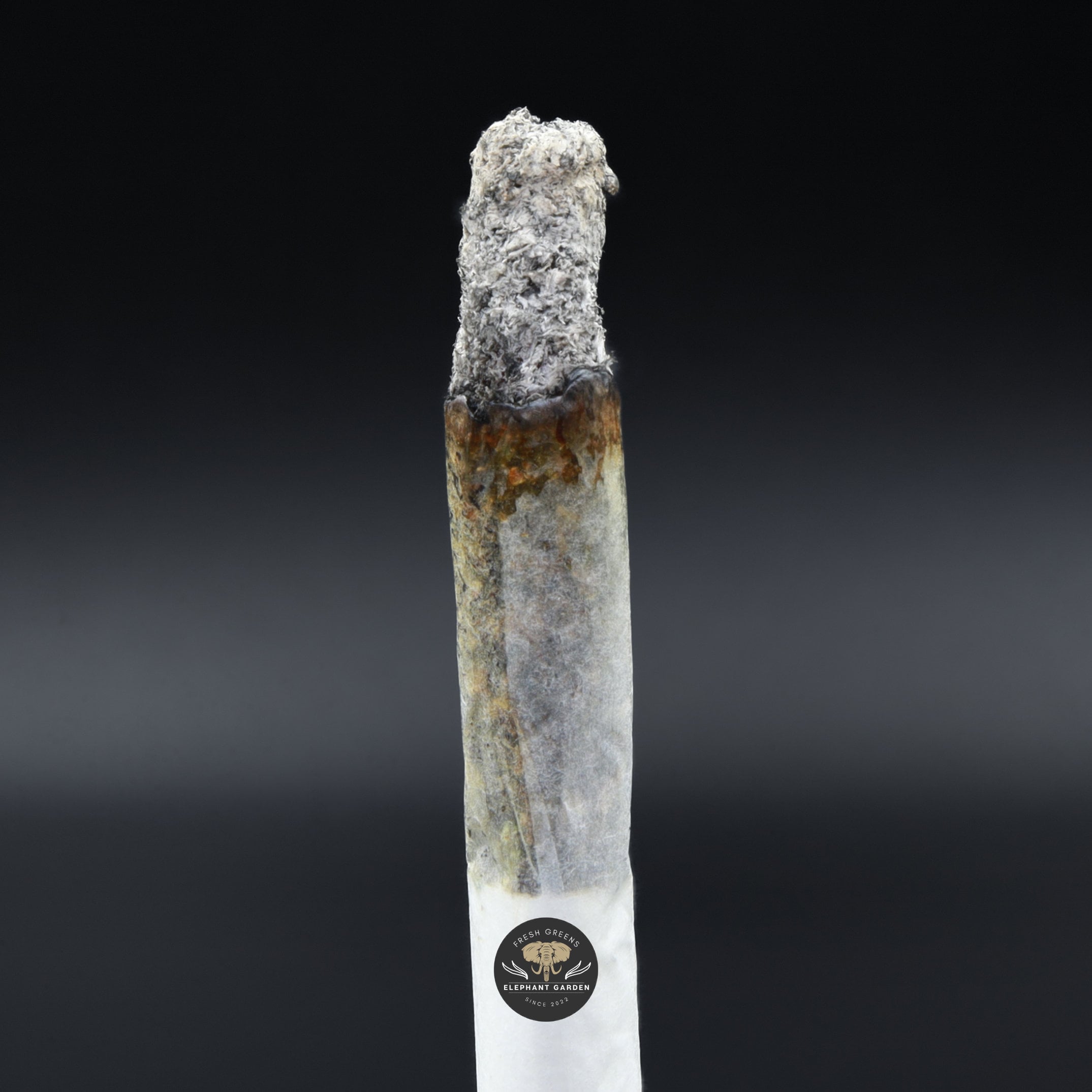 Burn image of Death Reaper Elephant Garden March 2026