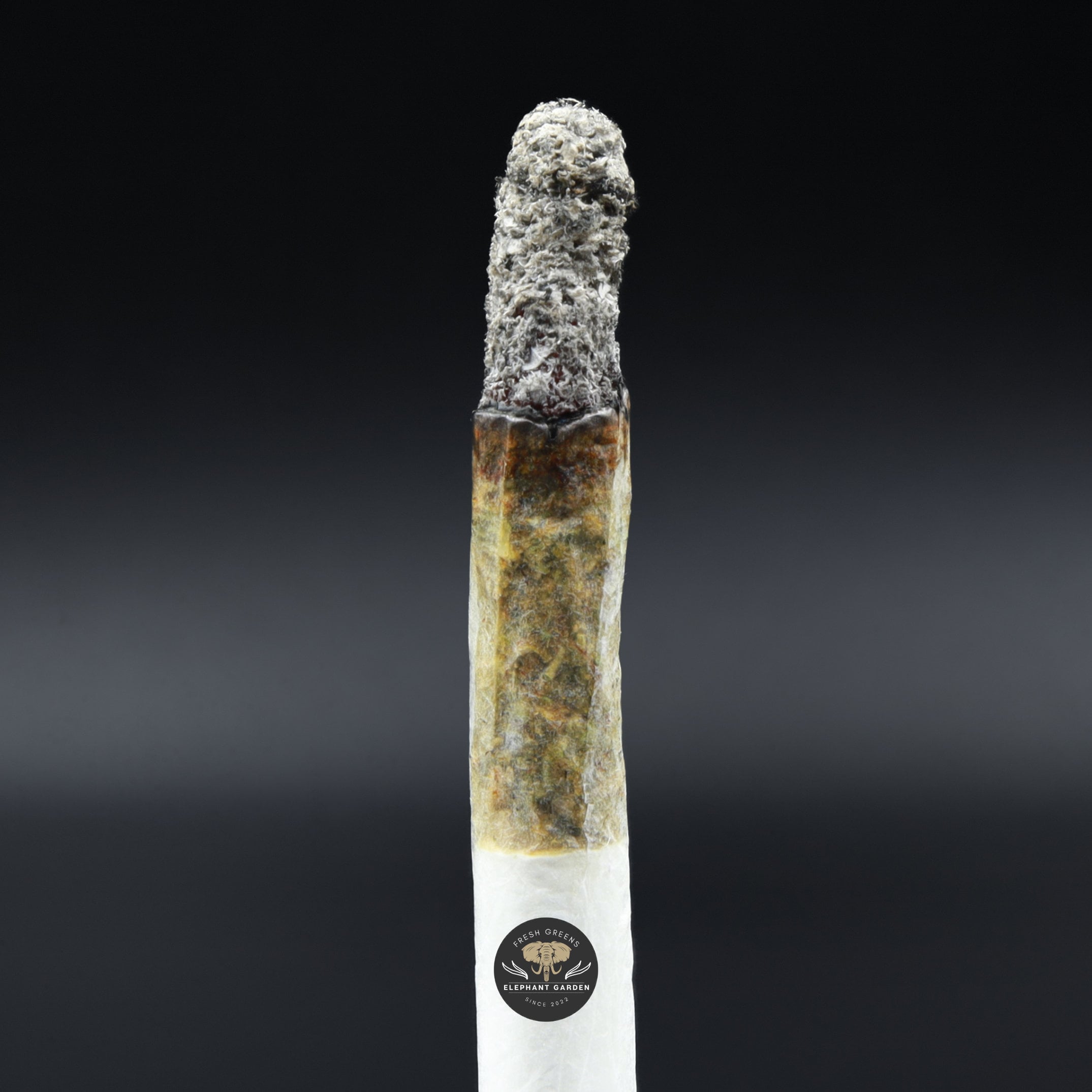 Burn test Grateful Grape Elephant Garden March 2026