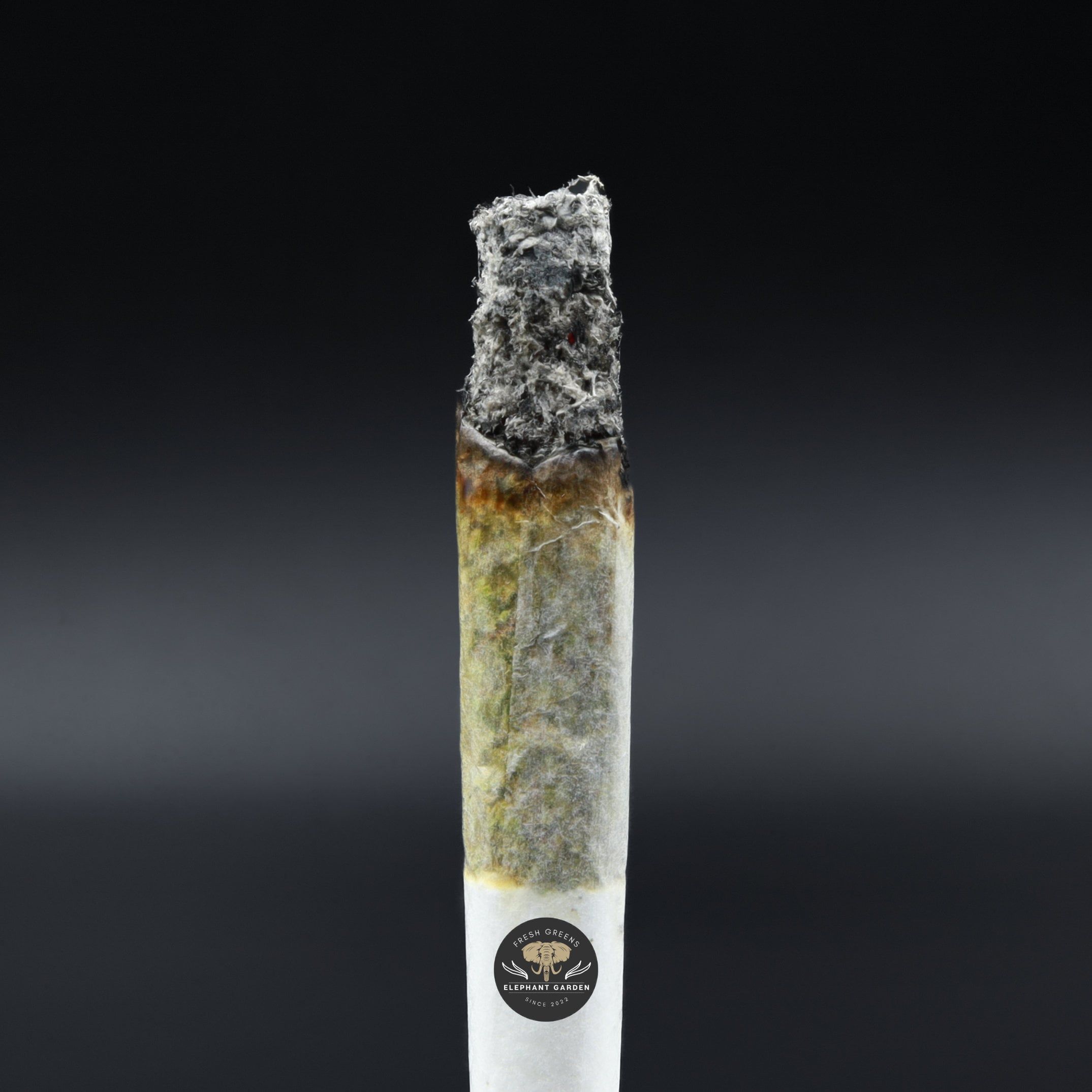 Burn test Razzle Dazzle Popcorn Elephant Garden March 2026