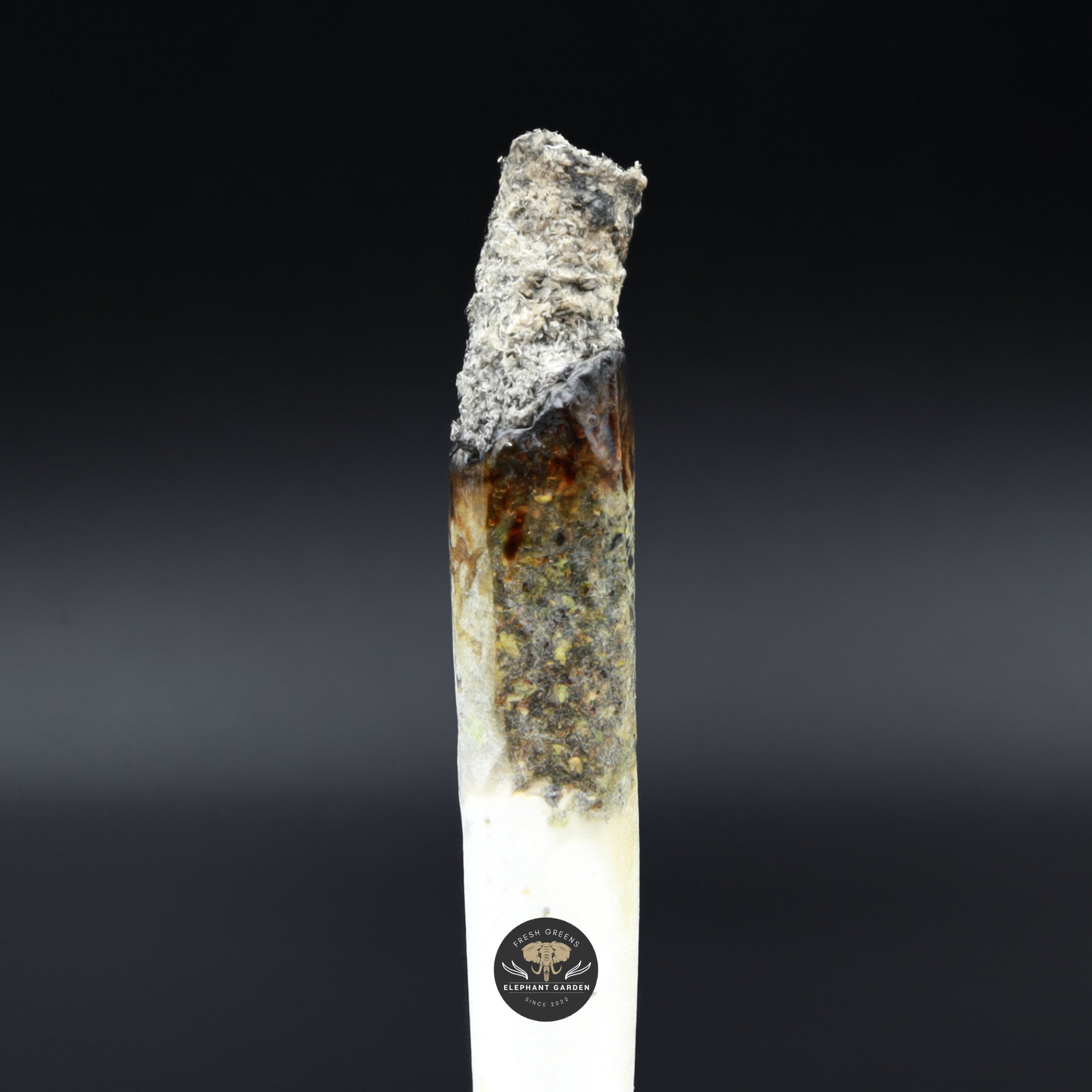 Burn test of Greasy Death Bubba Smalls Elephant Garden March 2026